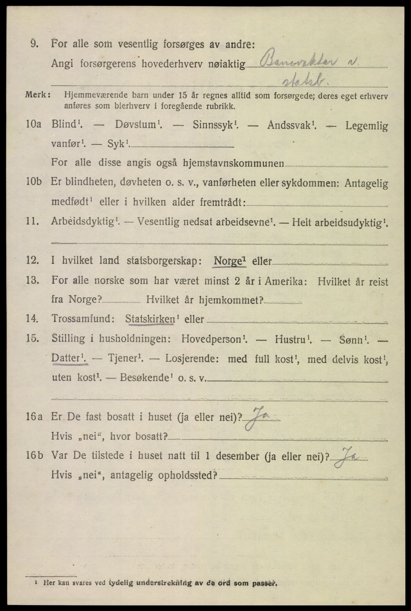 SAK, 1920 census for Hornnes, 1920, p. 2876