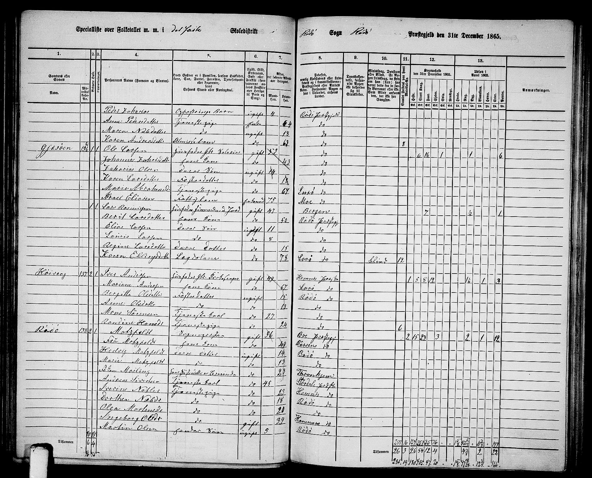 RA, 1865 census for Rødøy, 1865, p. 16