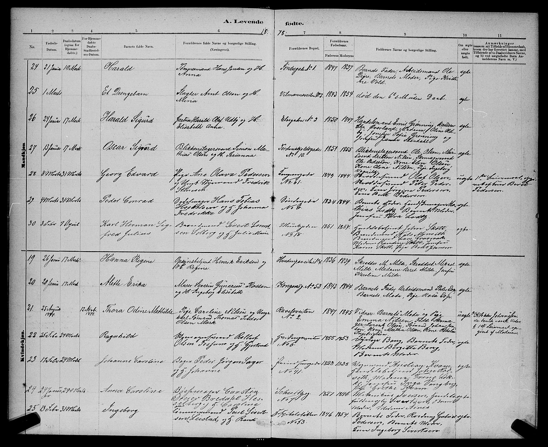 Ministerialprotokoller, klokkerbøker og fødselsregistre - Sør-Trøndelag, AV/SAT-A-1456/601/L0091: Parish register (copy) no. 601C09, 1878-1883