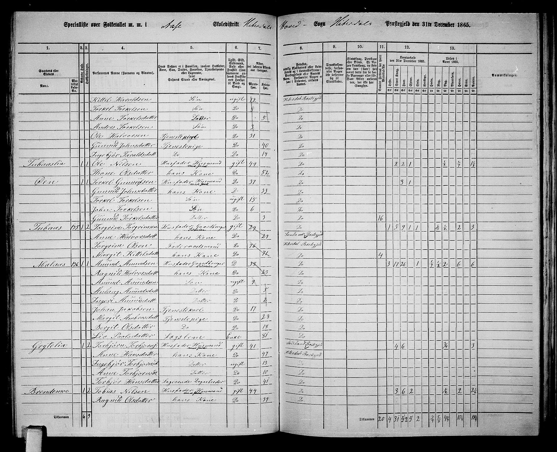 RA, 1865 census for Heddal, 1865, p. 112