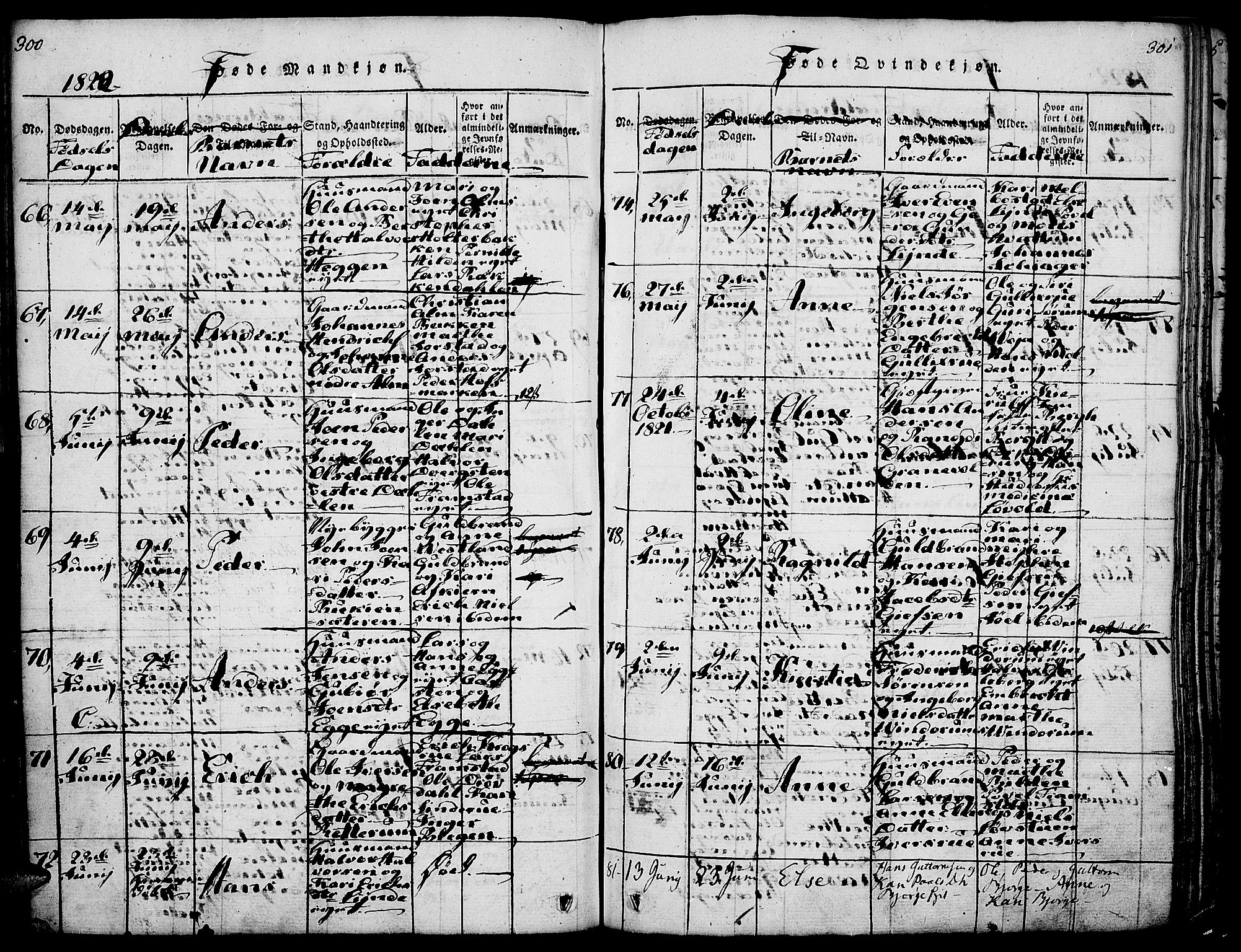 Gran prestekontor, AV/SAH-PREST-112/H/Ha/Haa/L0009: Parish register (official) no. 9, 1815-1824, p. 300-301