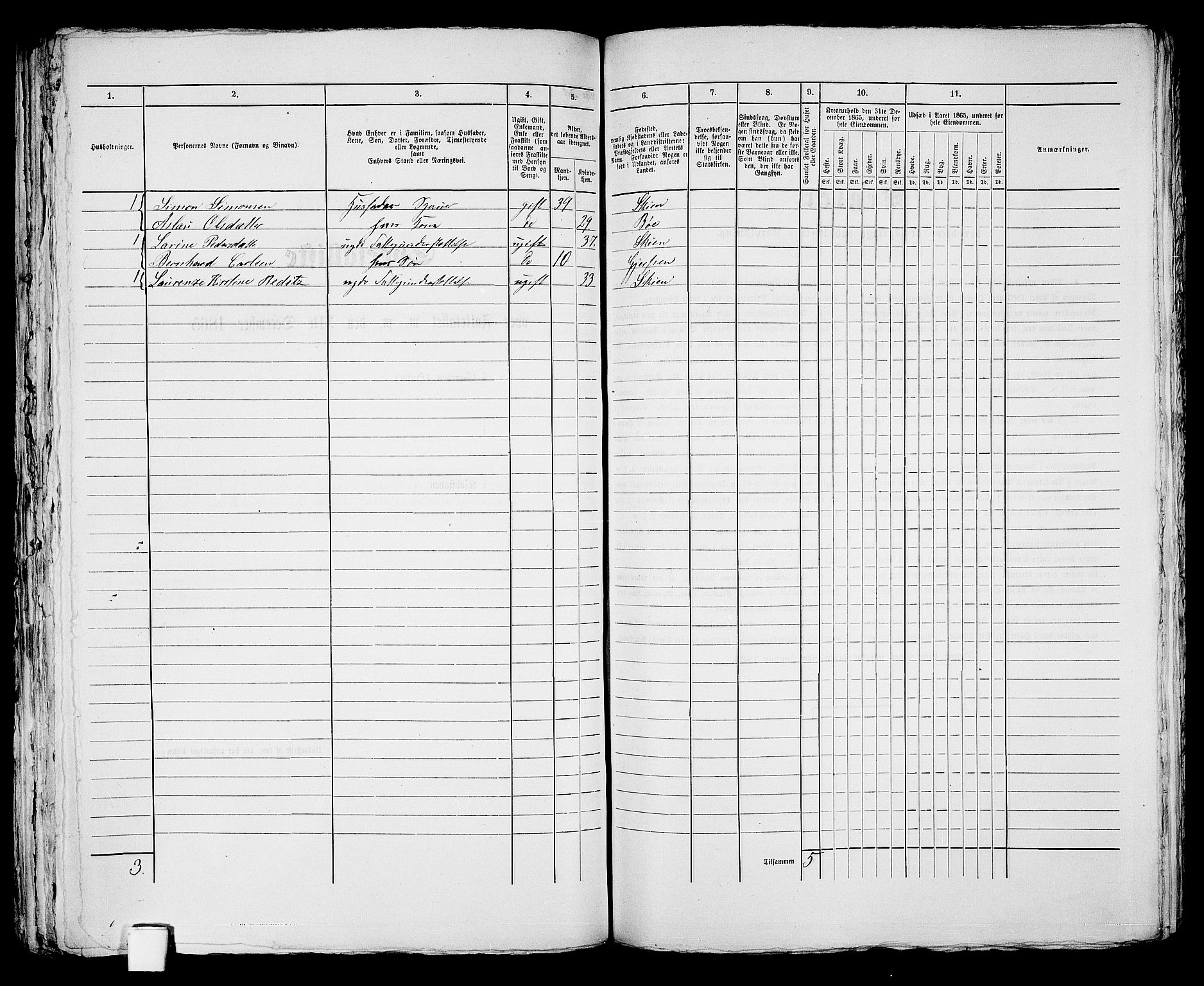 RA, 1865 census for Skien, 1865, p. 1034