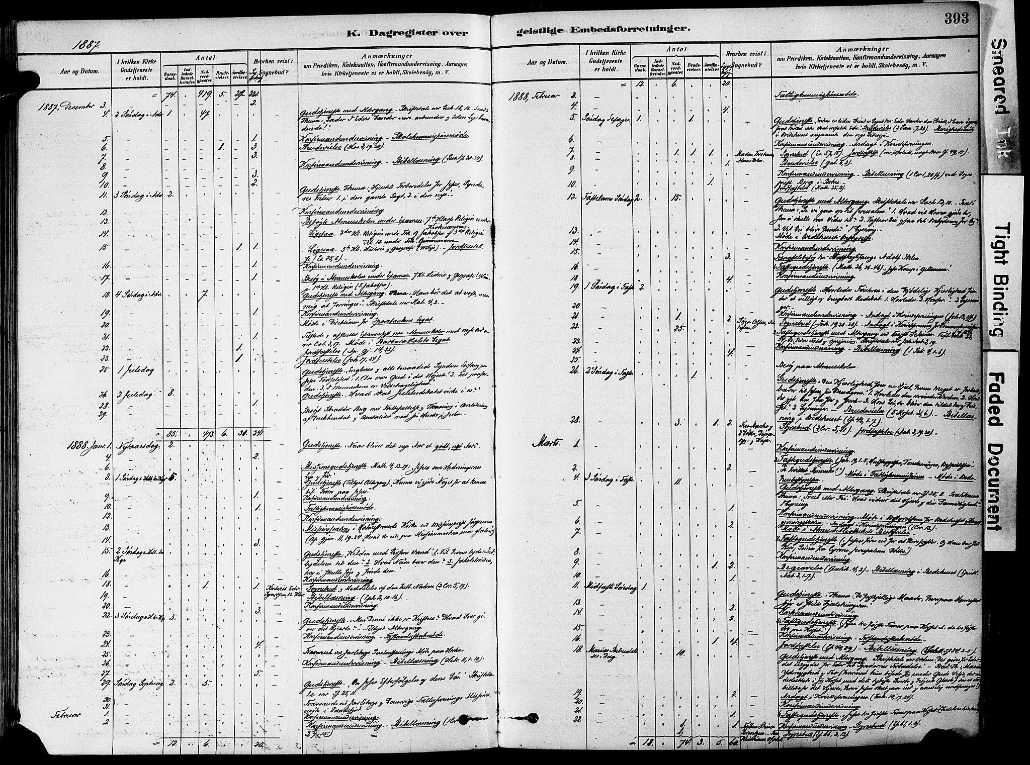 Holmestrand kirkebøker, AV/SAKO-A-346/F/Fa/L0004: Parish register (official) no. 4, 1880-1901, p. 393