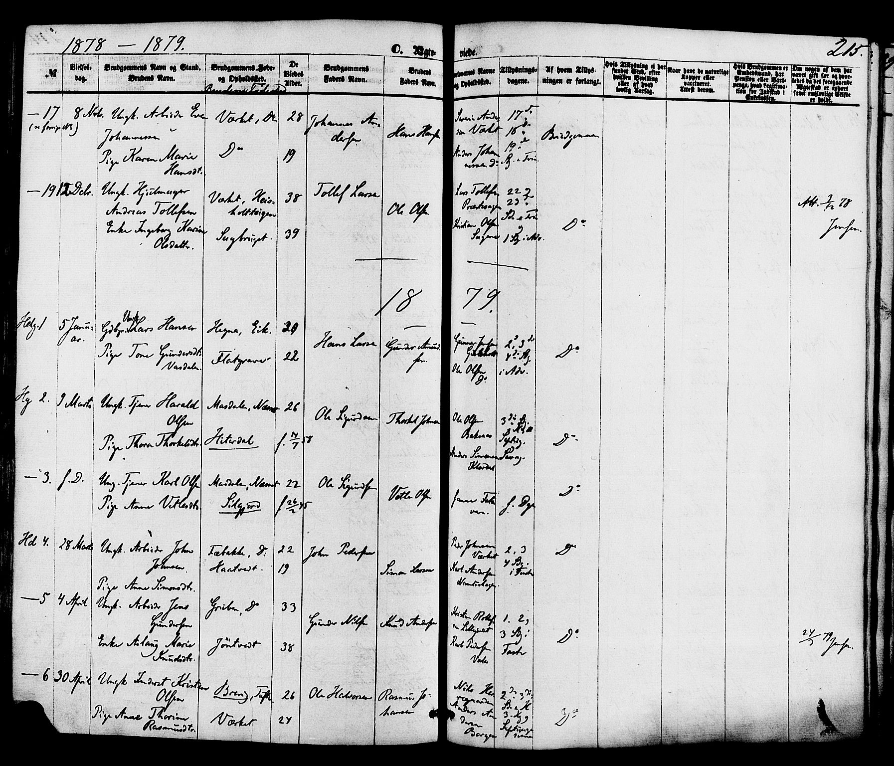 Holla kirkebøker, SAKO/A-272/F/Fa/L0007: Parish register (official) no. 7, 1869-1881, p. 215