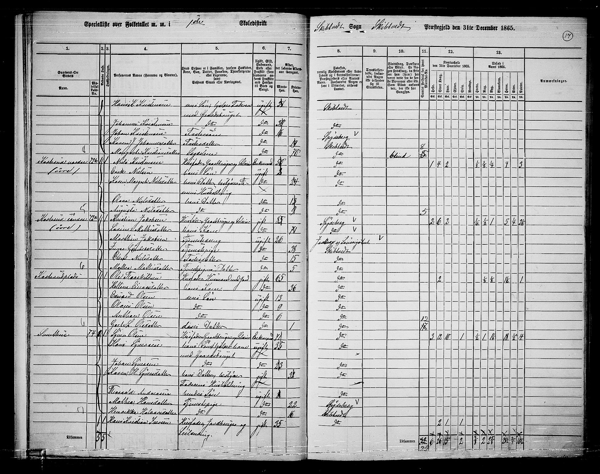 RA, 1865 census for Skiptvet, 1865, p. 16