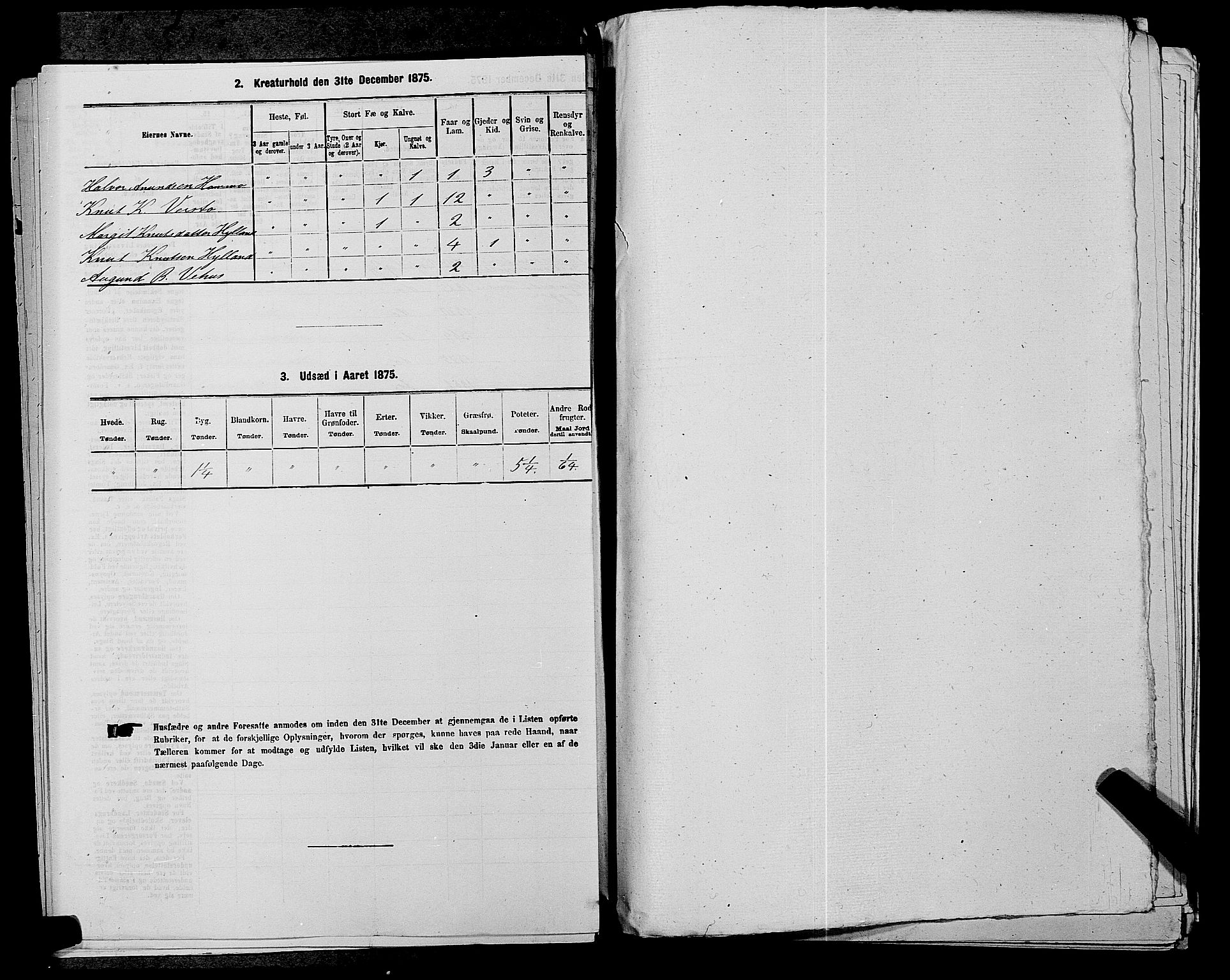 SAKO, 1875 census for 0834P Vinje, 1875, p. 301