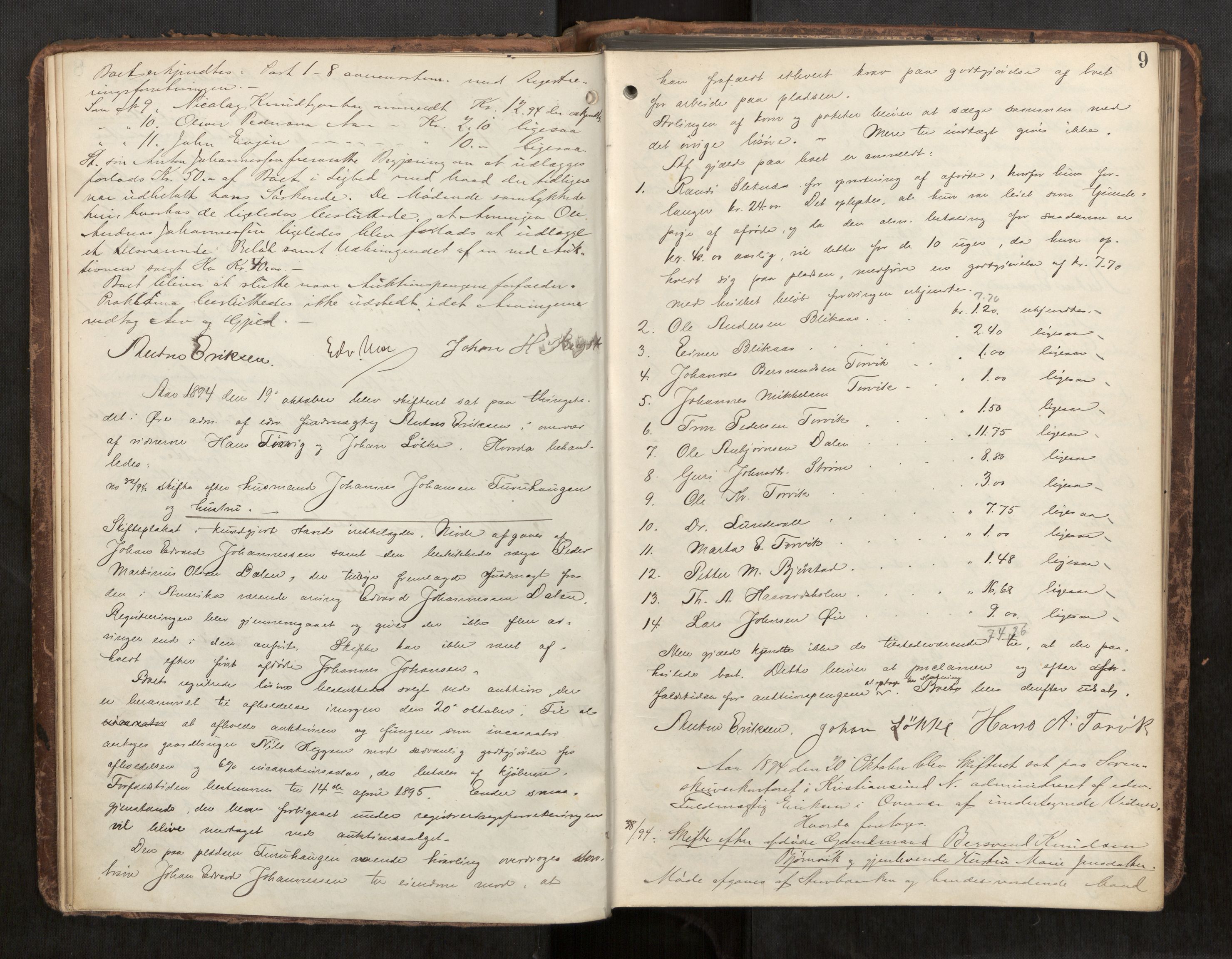 Nordmøre sorenskriveri, AV/SAT-A-4132/1/3/3B/L0006: Forhandlingsprotokoll nr. 06, 1894-1900, p. 9