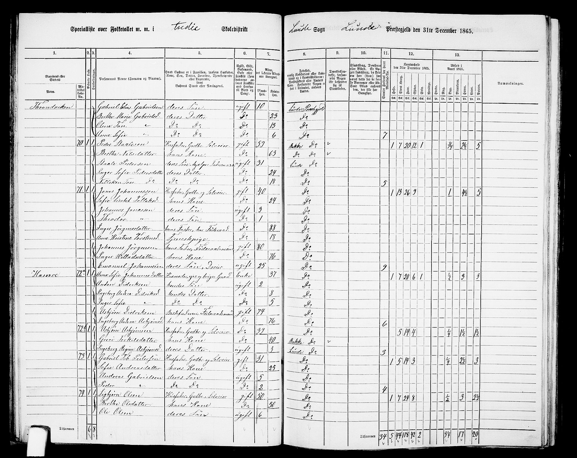 RA, 1865 census for Lund, 1865, p. 33