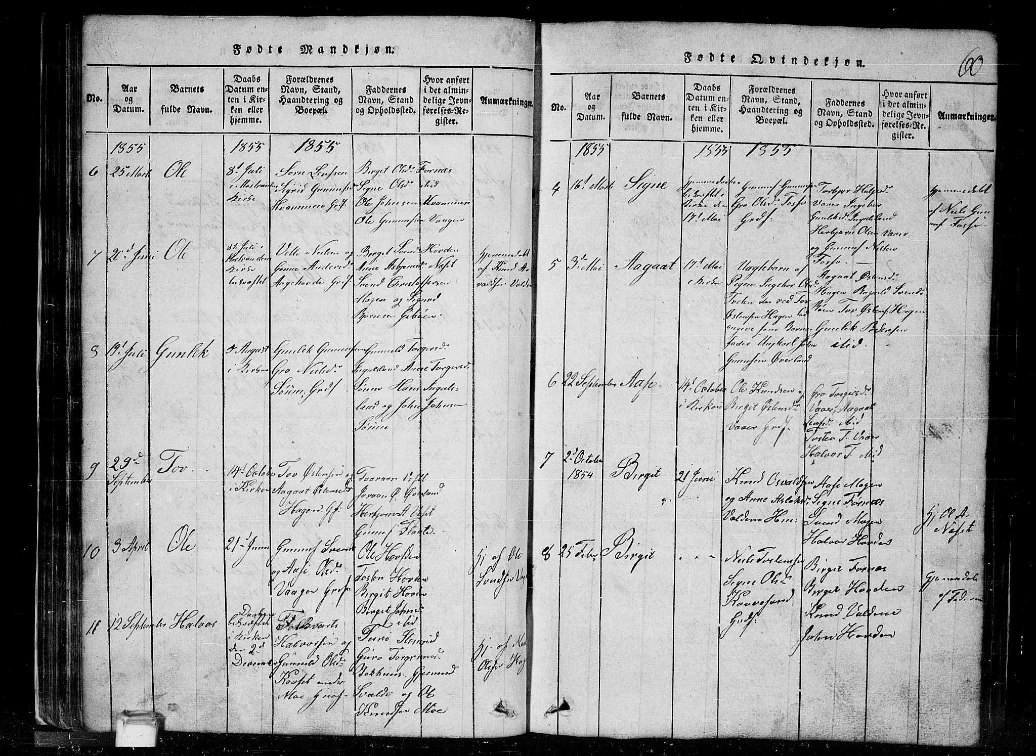 Tinn kirkebøker, SAKO/A-308/G/Gc/L0001: Parish register (copy) no. III 1, 1815-1879, p. 60