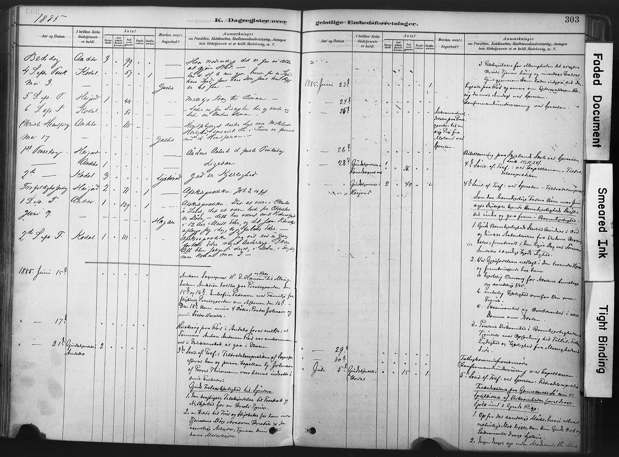 Andebu kirkebøker, AV/SAKO-A-336/F/Fa/L0007: Parish register (official) no. 7, 1878-1899, p. 303