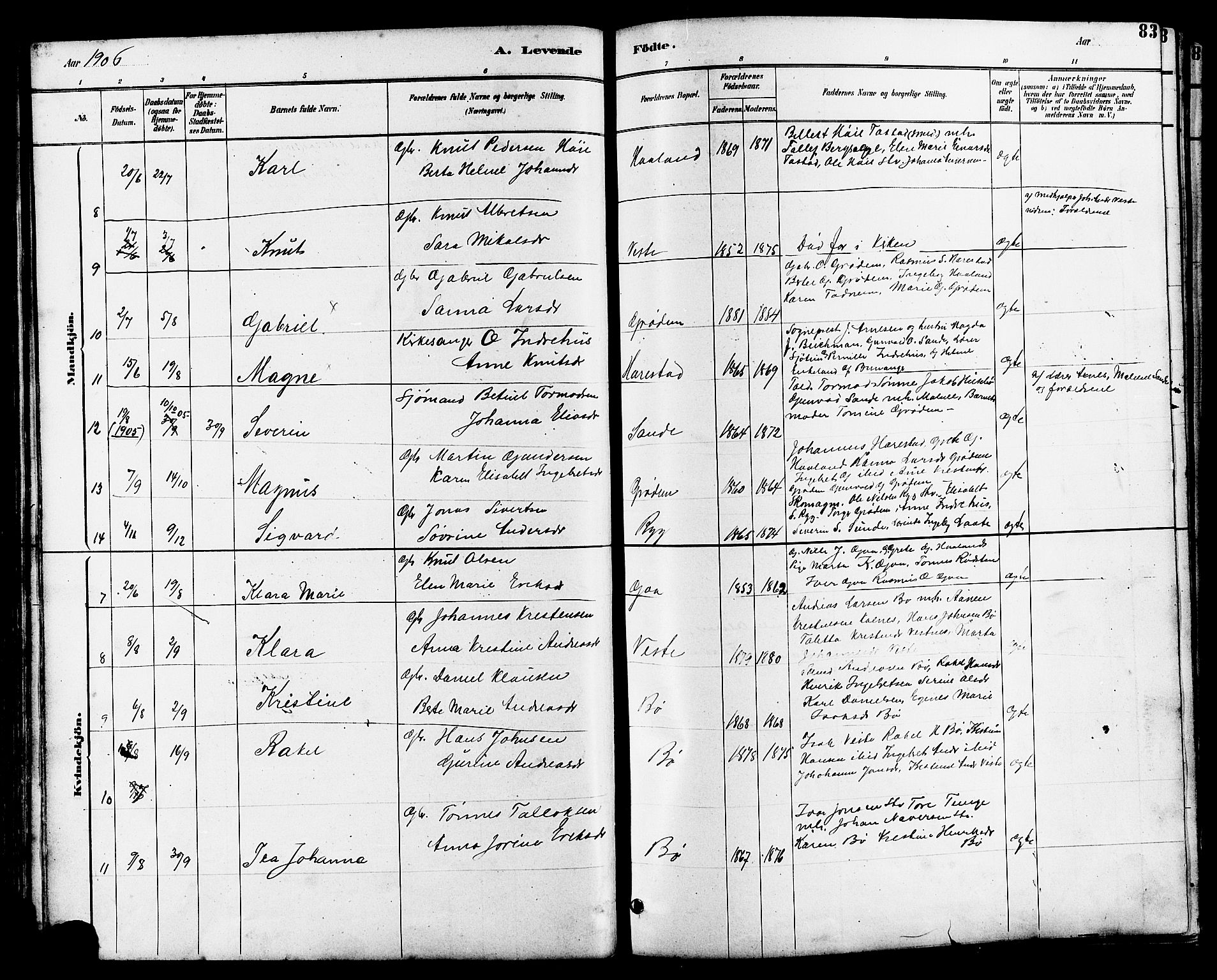 Hetland sokneprestkontor, SAST/A-101826/30/30BB/L0006: Parish register (copy) no. B 6, 1878-1921, p. 83