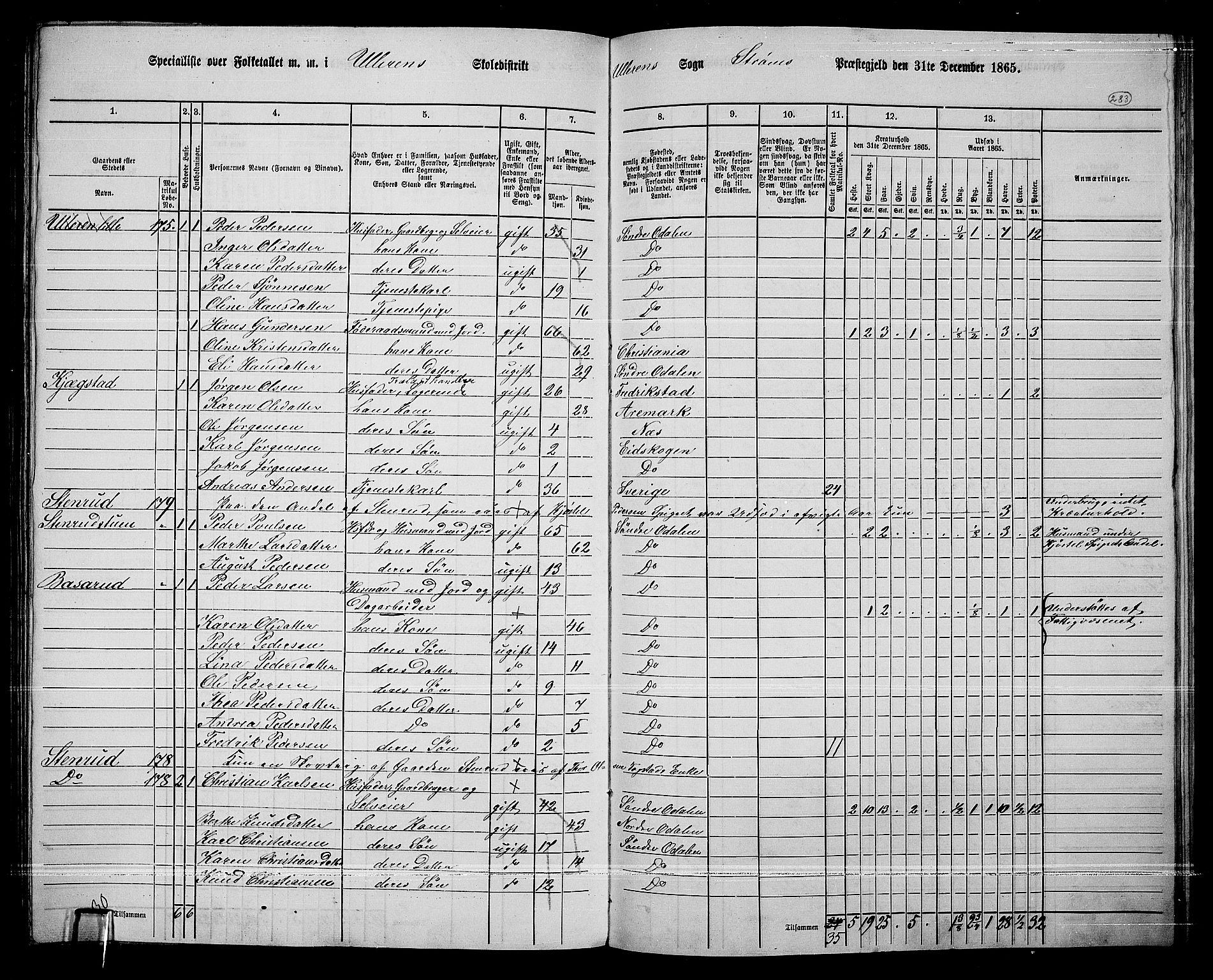 RA, 1865 census for Sør-Odal, 1865, p. 247