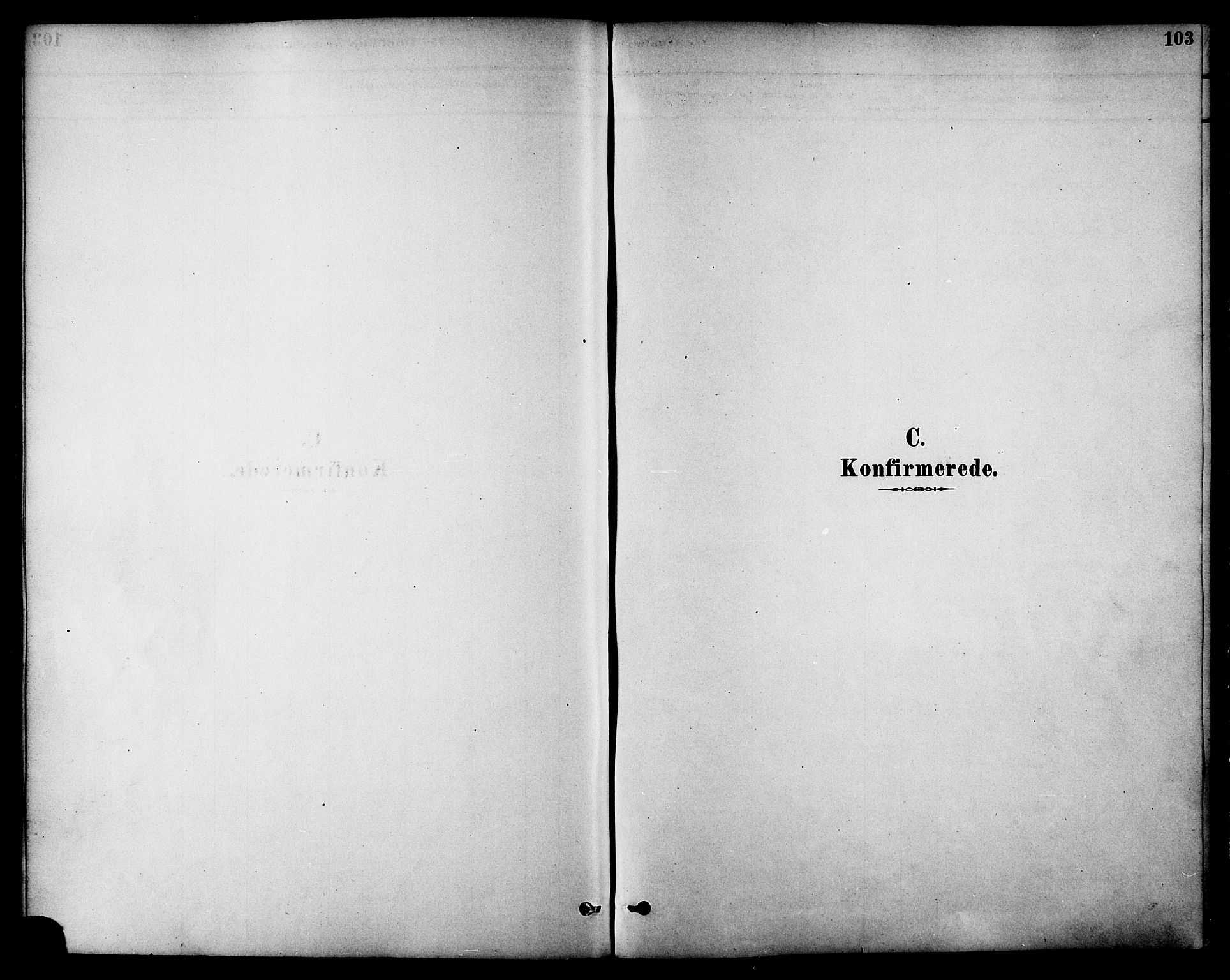 Ministerialprotokoller, klokkerbøker og fødselsregistre - Nordland, SAT/A-1459/861/L0868: Parish register (official) no. 861A03, 1879-1889, p. 103