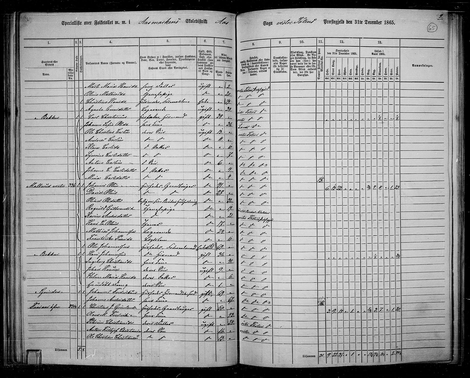 RA, 1865 census for Vestre Toten, 1865, p. 61