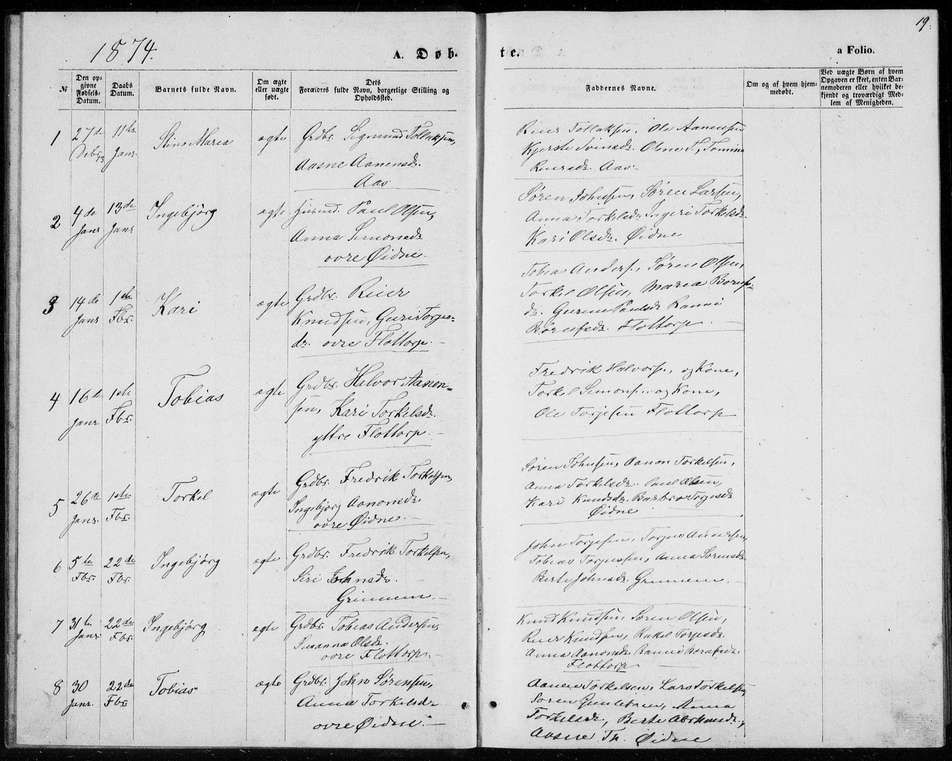 Bjelland sokneprestkontor, SAK/1111-0005/F/Fb/Fbc/L0002: Parish register (copy) no. B 2, 1867-1887, p. 19