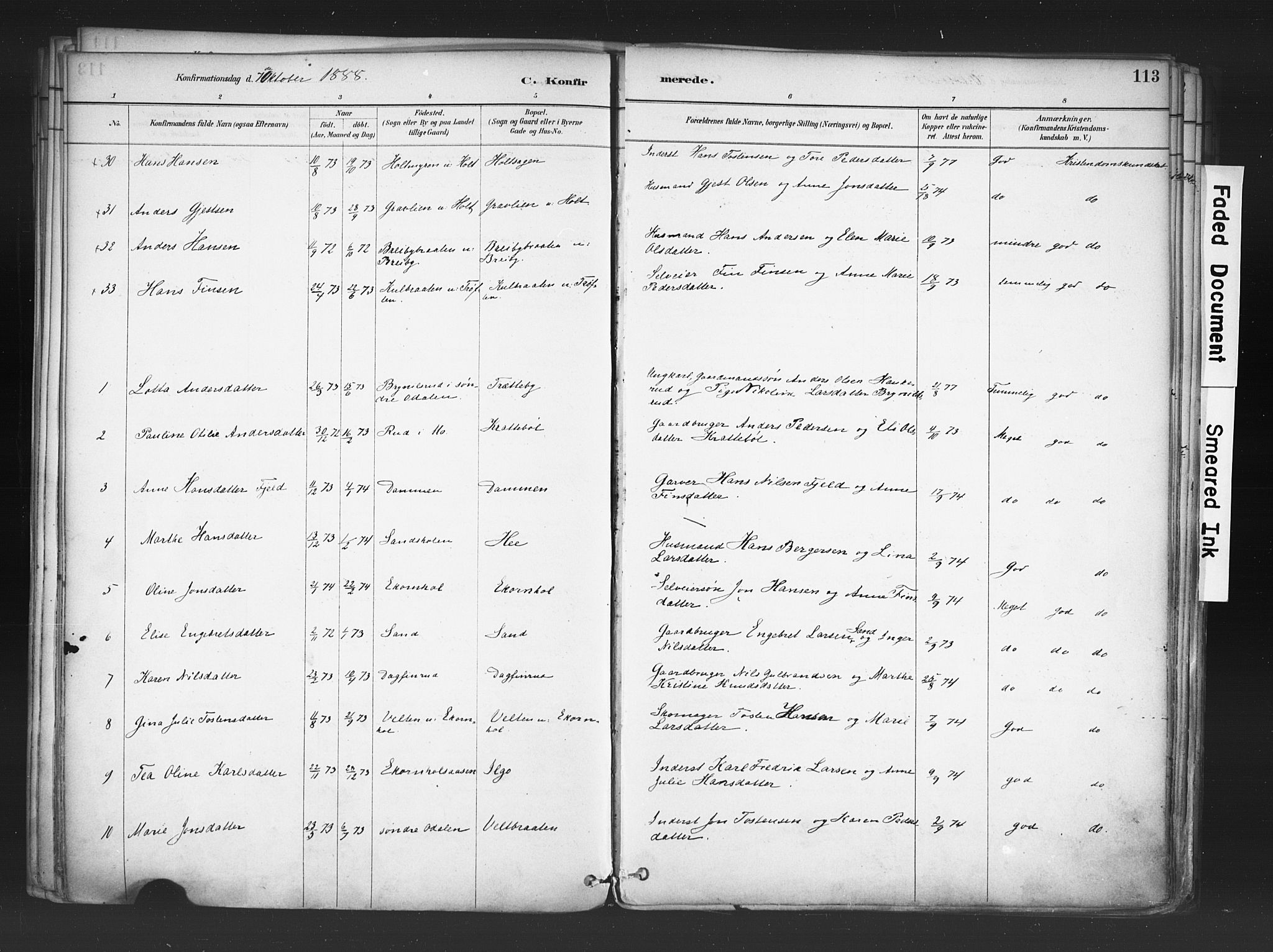 Nord-Odal prestekontor, AV/SAH-PREST-032/H/Ha/Haa/L0006: Parish register (official) no. 6, 1886-1901, p. 113