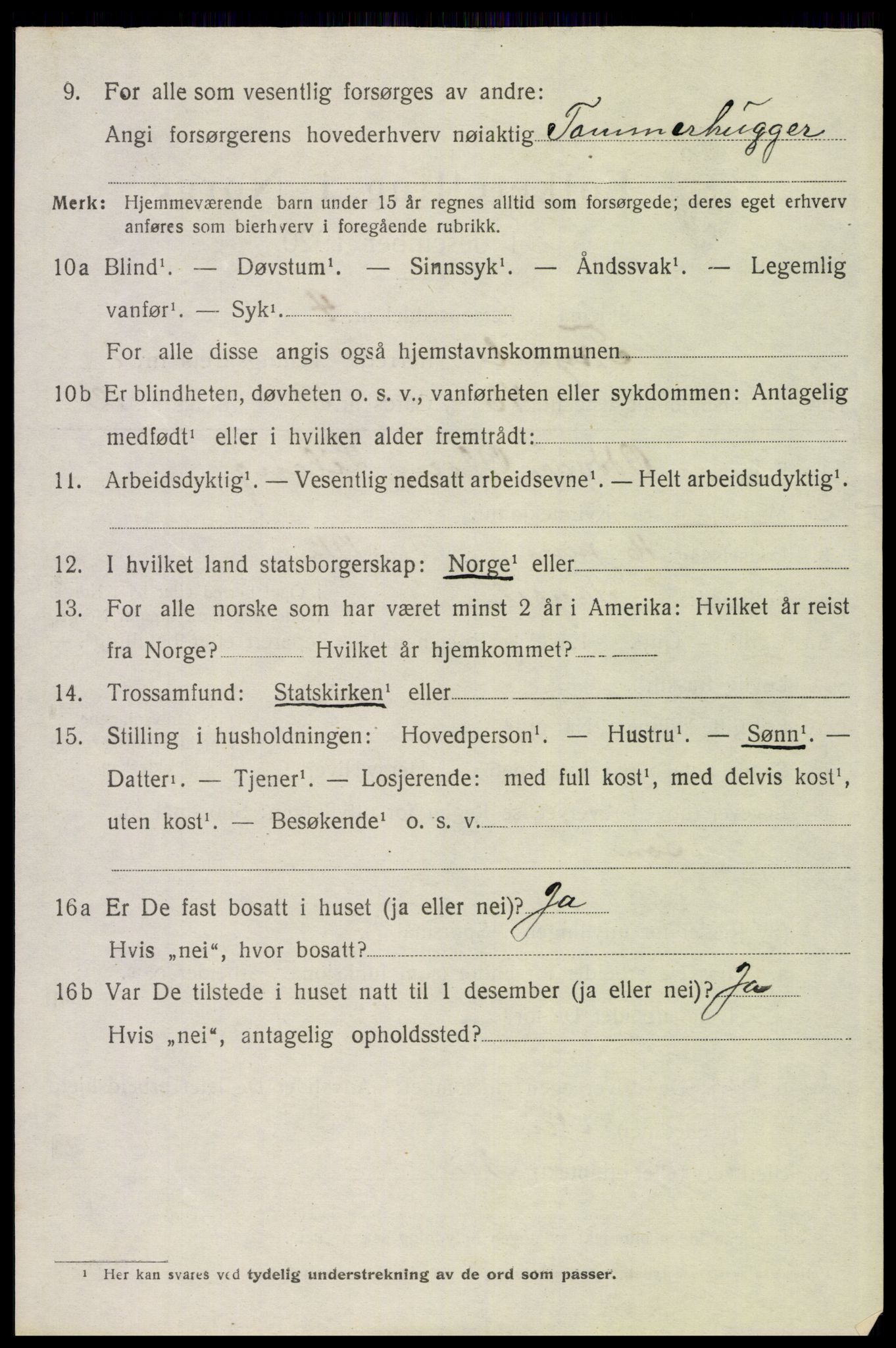 SAH, 1920 census for Trysil, 1920, p. 3082