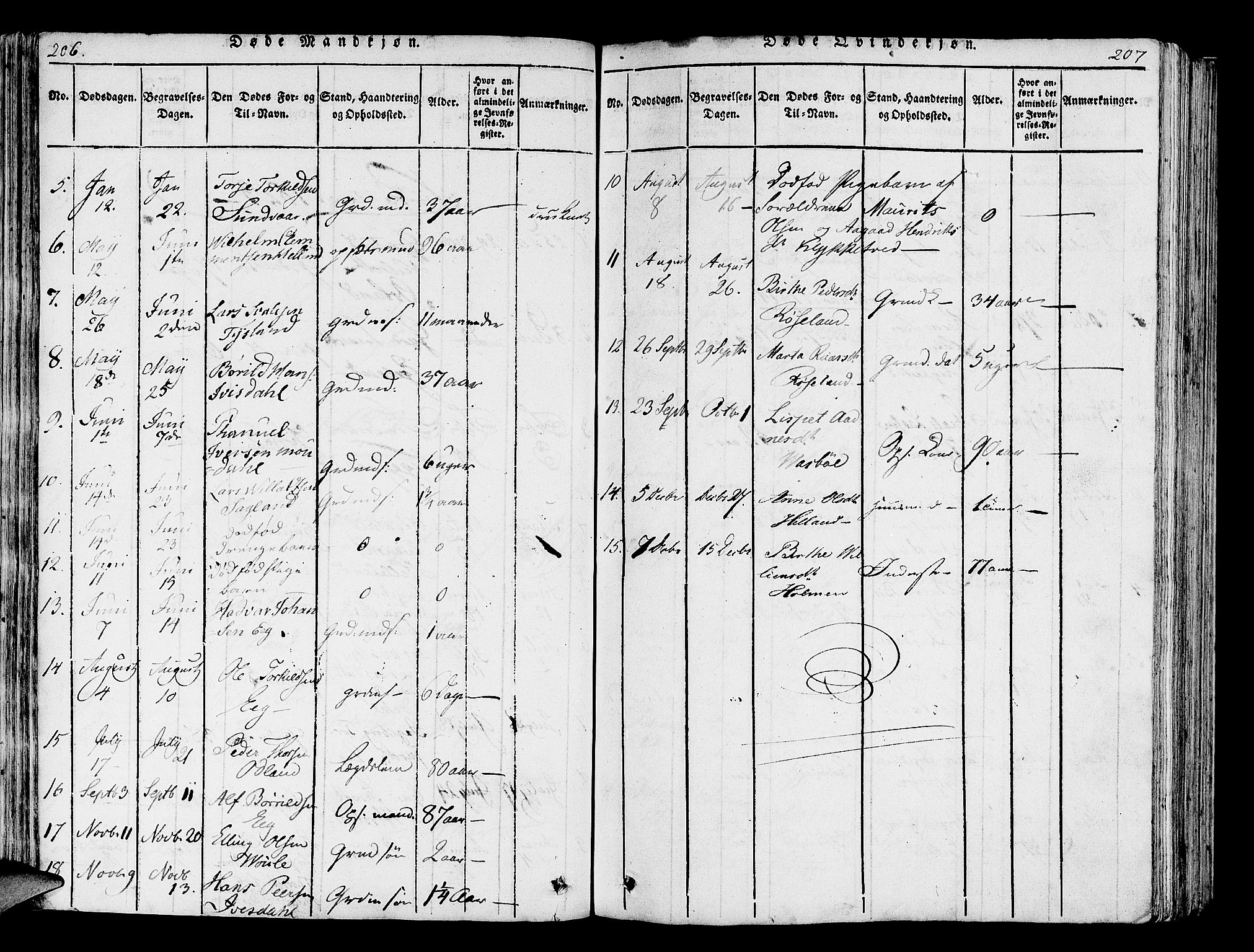 Helleland sokneprestkontor, AV/SAST-A-101810: Parish register (official) no. A 5, 1815-1834, p. 206-207