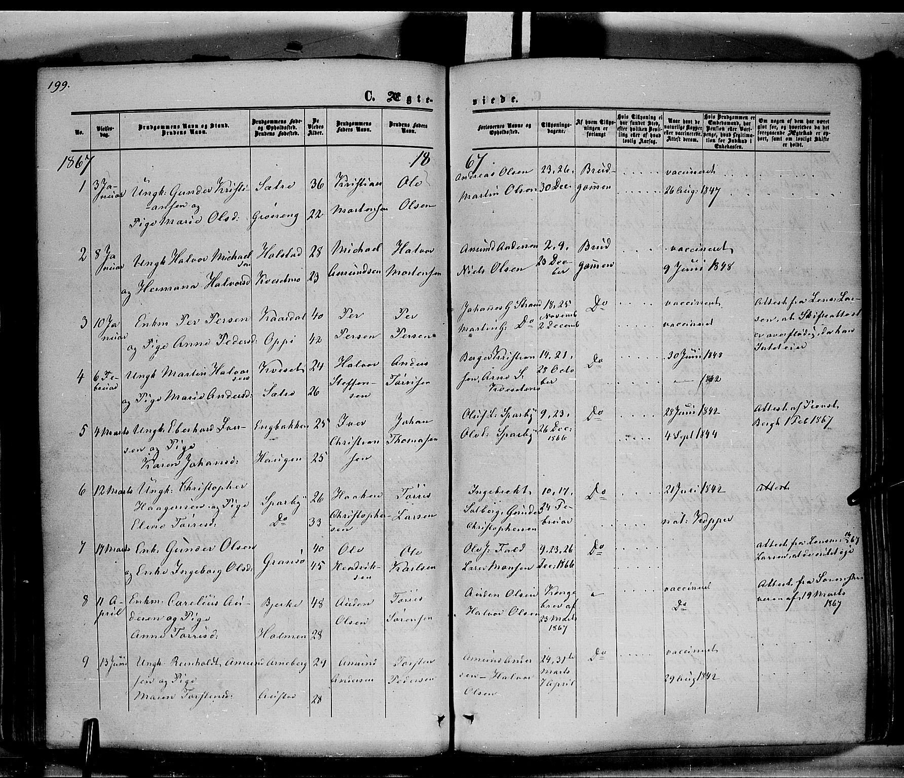 Hof prestekontor, SAH/PREST-038/H/Ha/Haa/L0009: Parish register (official) no. 9, 1862-1877, p. 199