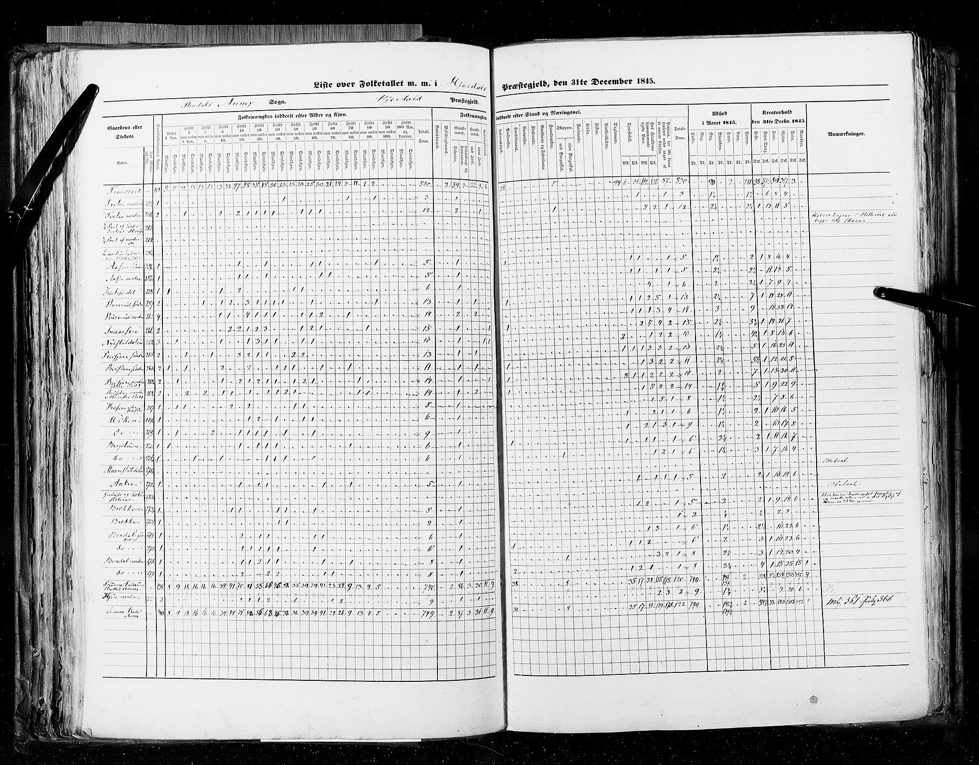 RA, Census 1845, vol. 5: Bratsberg amt og Nedenes og Råbyggelaget amt, 1845