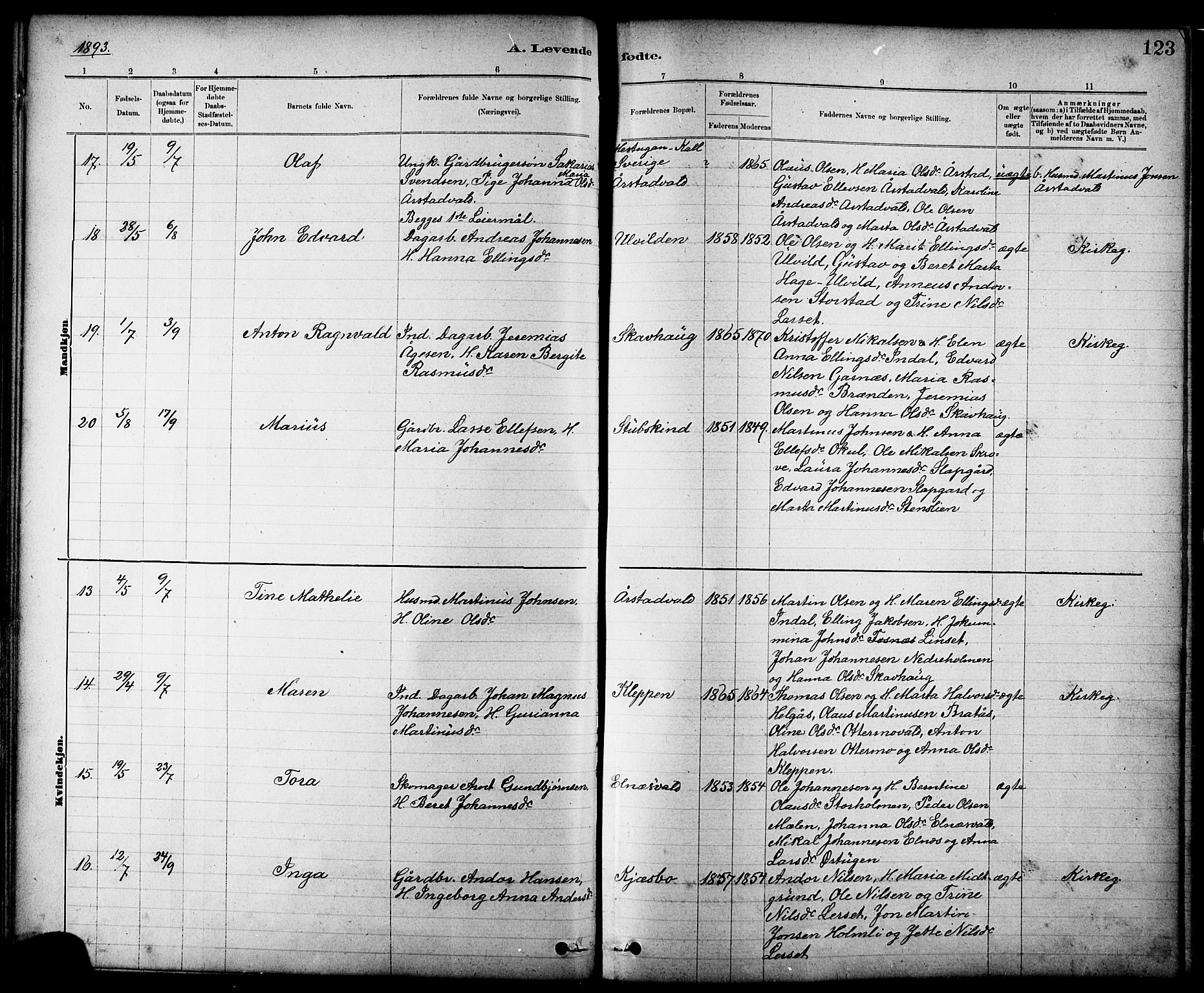 Ministerialprotokoller, klokkerbøker og fødselsregistre - Nord-Trøndelag, AV/SAT-A-1458/724/L0267: Parish register (copy) no. 724C03, 1879-1898, p. 123