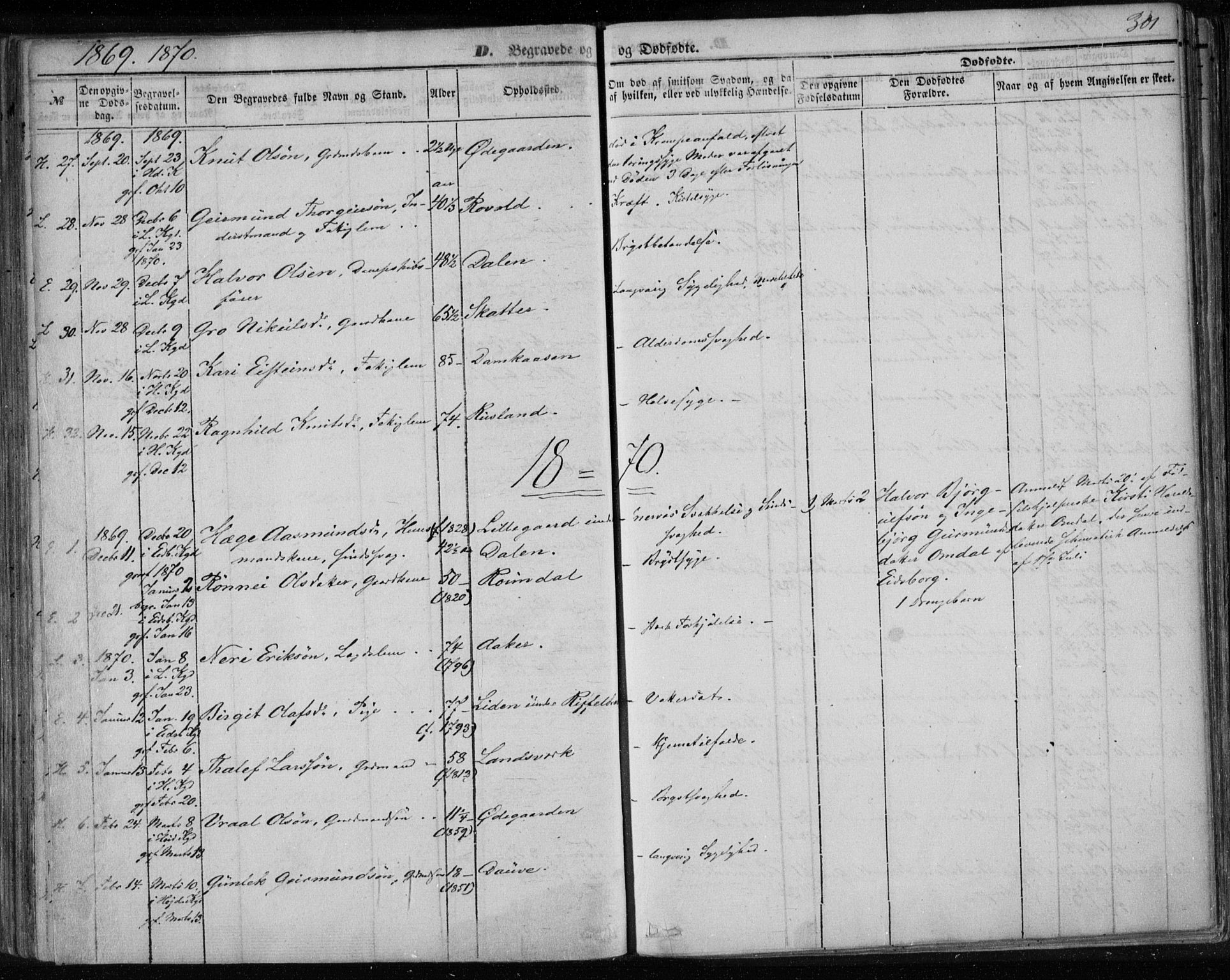 Lårdal kirkebøker, SAKO/A-284/F/Fa/L0006: Parish register (official) no. I 6, 1861-1886, p. 301