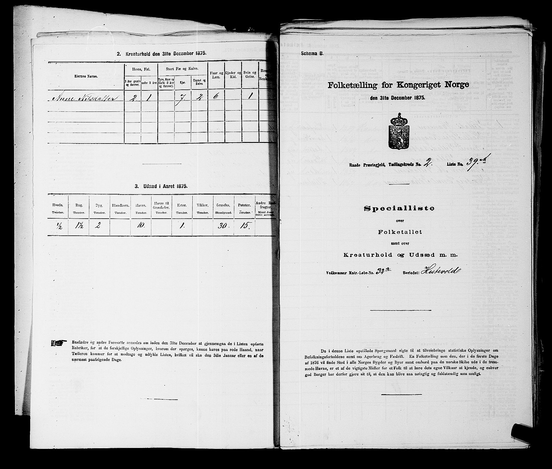 RA, 1875 census for 0135P Råde, 1875, p. 338