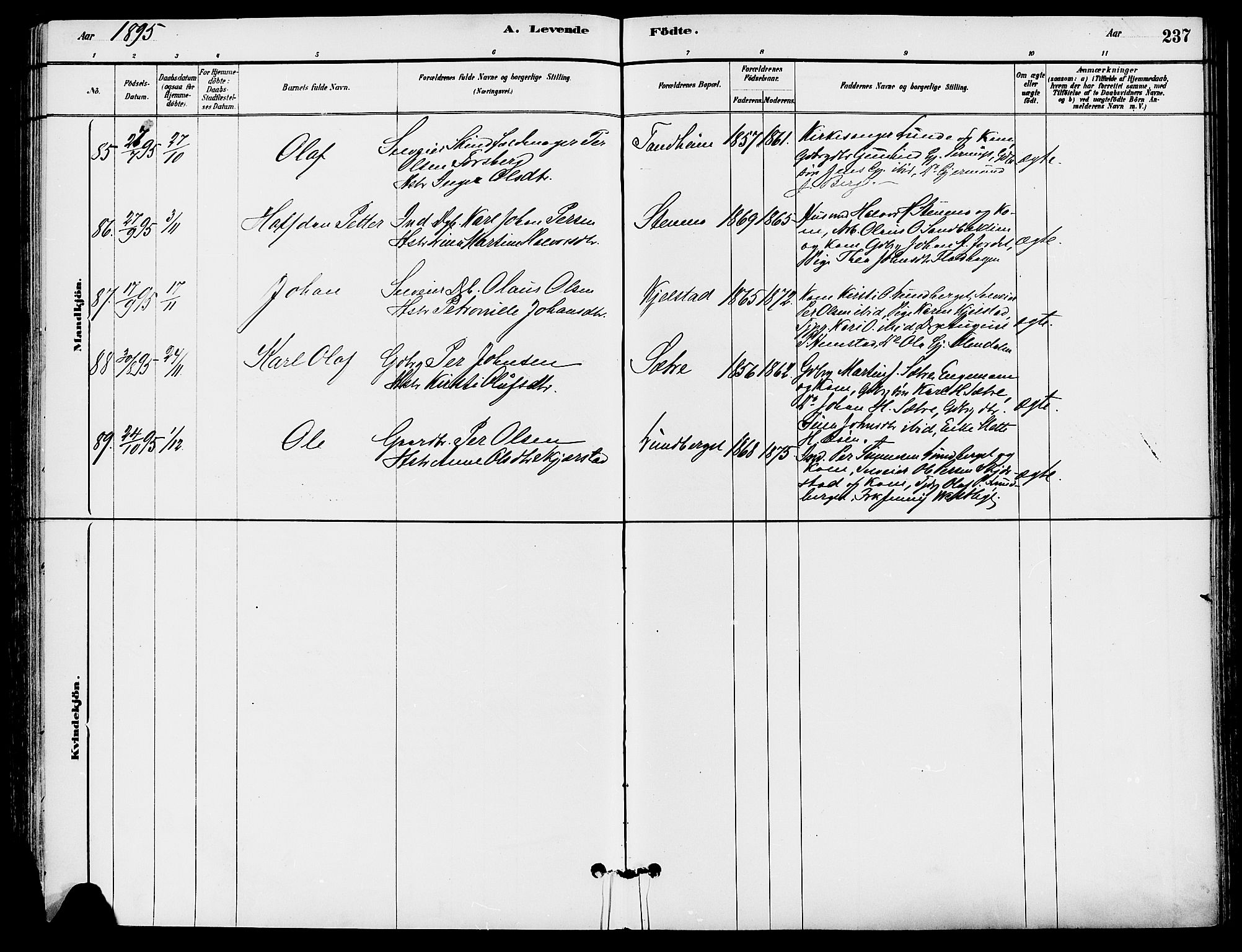 Trysil prestekontor, AV/SAH-PREST-046/H/Ha/Haa/L0008: Parish register (official) no. 8, 1881-1897, p. 237