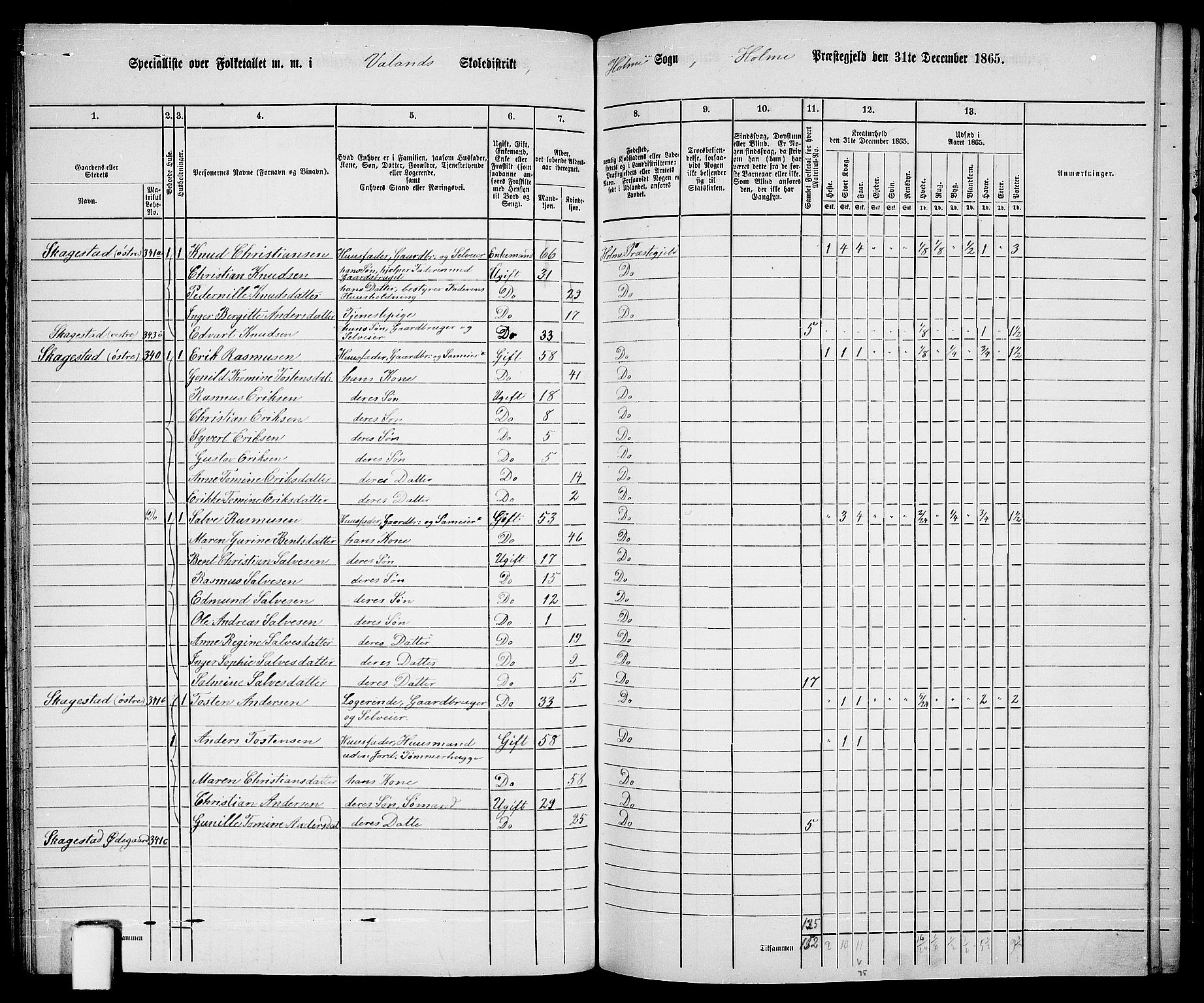 RA, 1865 census for Holum, 1865, p. 82