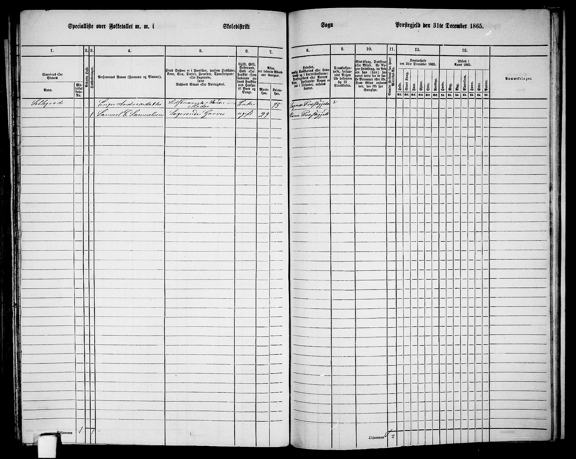 RA, 1865 census for Vanse/Vanse og Farsund, 1865, p. 246