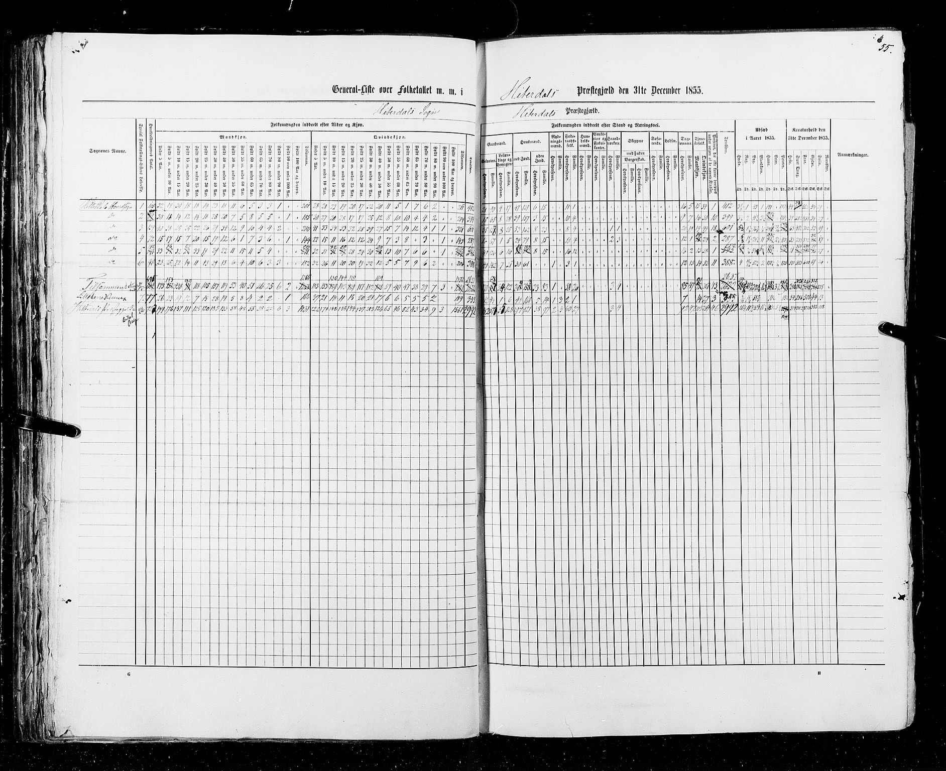 RA, Census 1855, vol. 3: Bratsberg amt, Nedenes amt og Lister og Mandal amt, 1855, p. 55