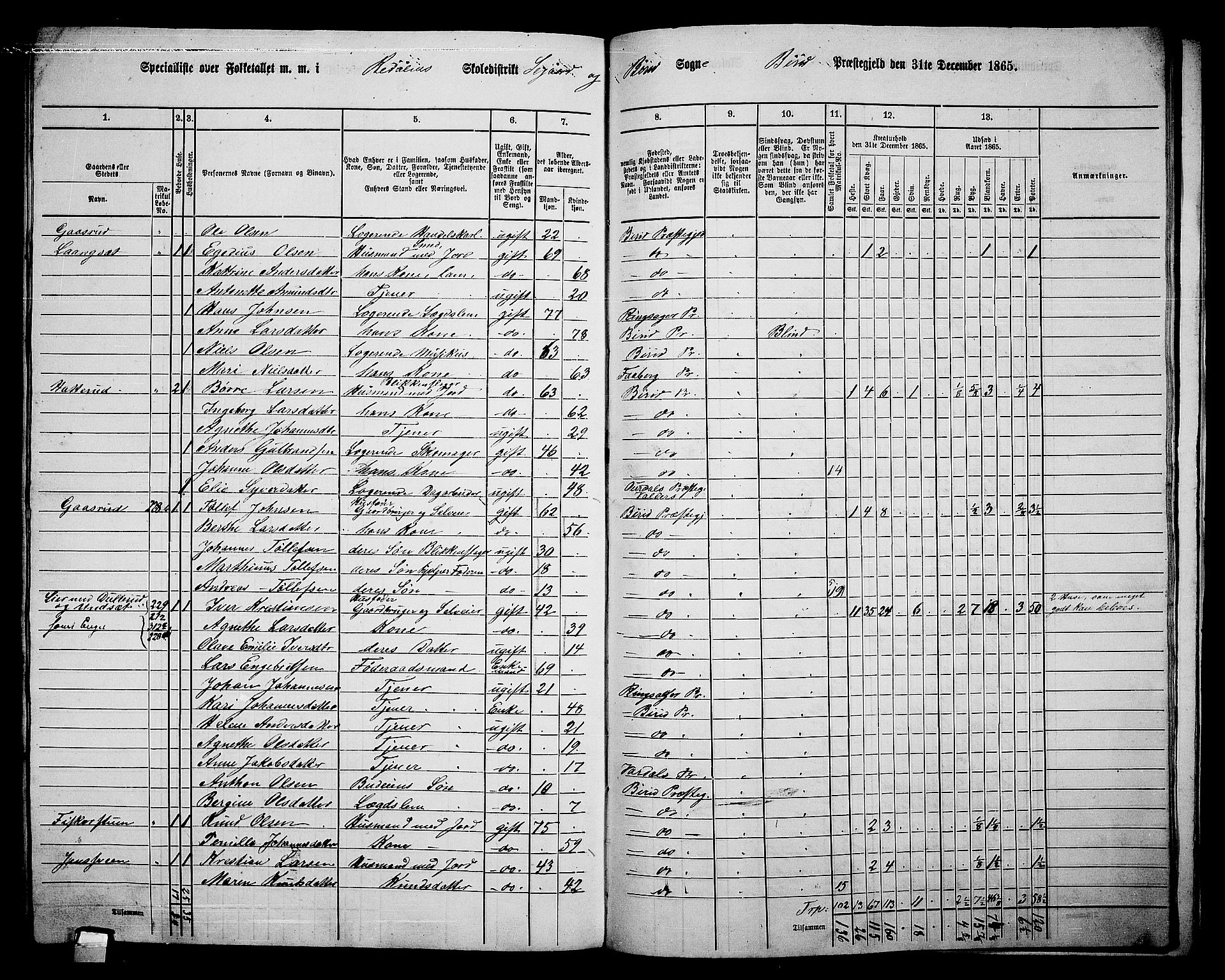 RA, 1865 census for Biri, 1865, p. 202