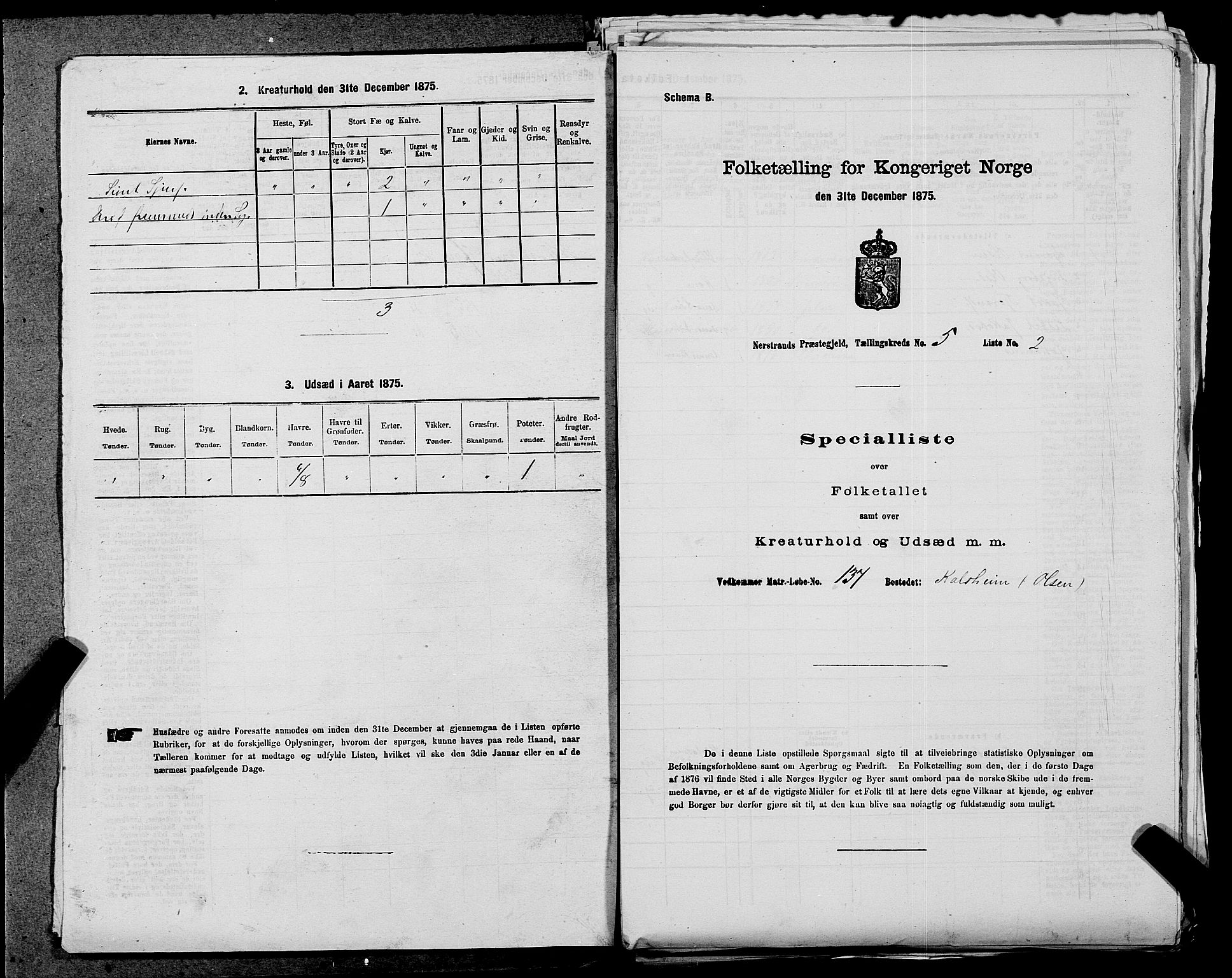 SAST, 1875 census for 1139P Nedstrand, 1875, p. 337