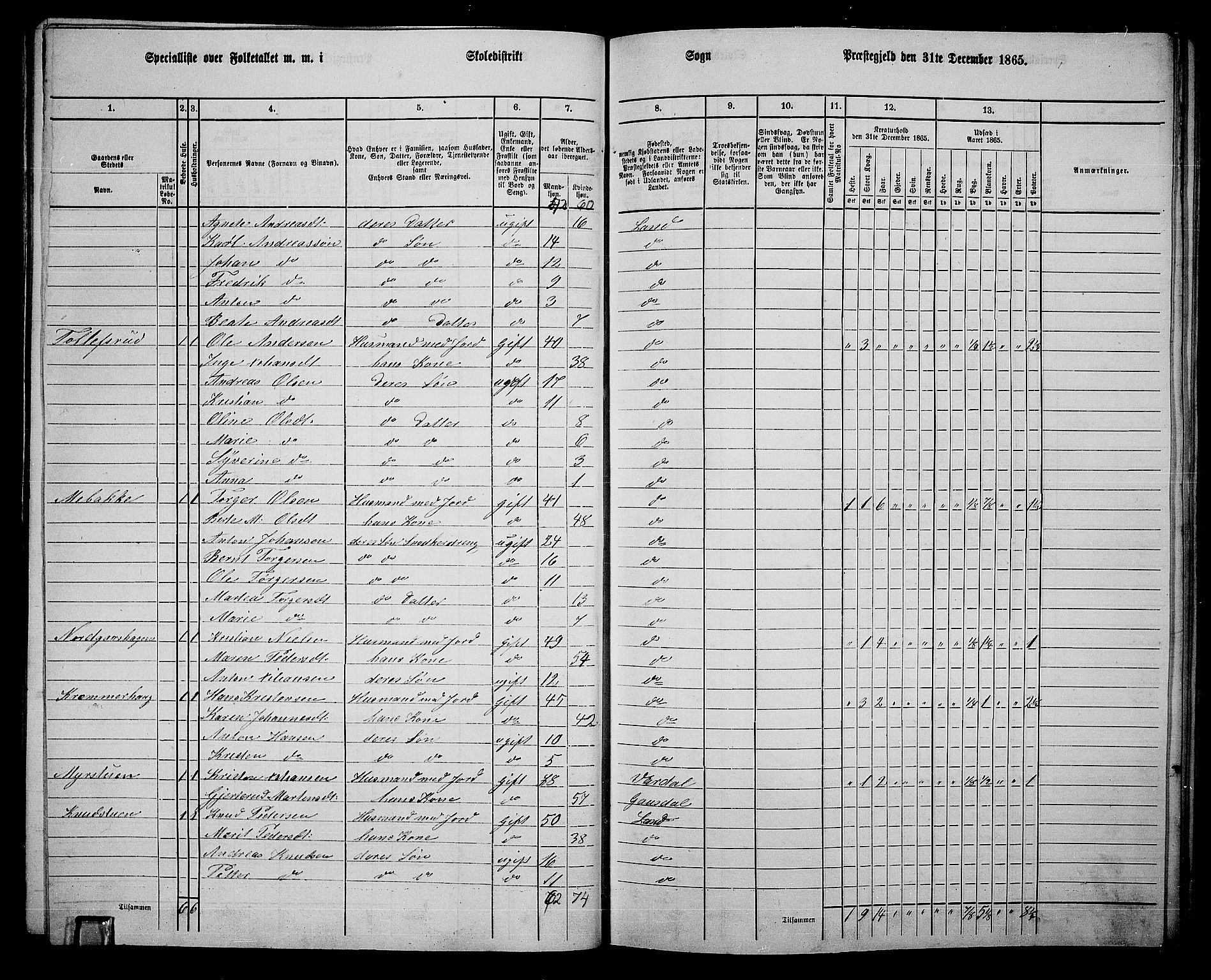 RA, 1865 census for Land, 1865, p. 294
