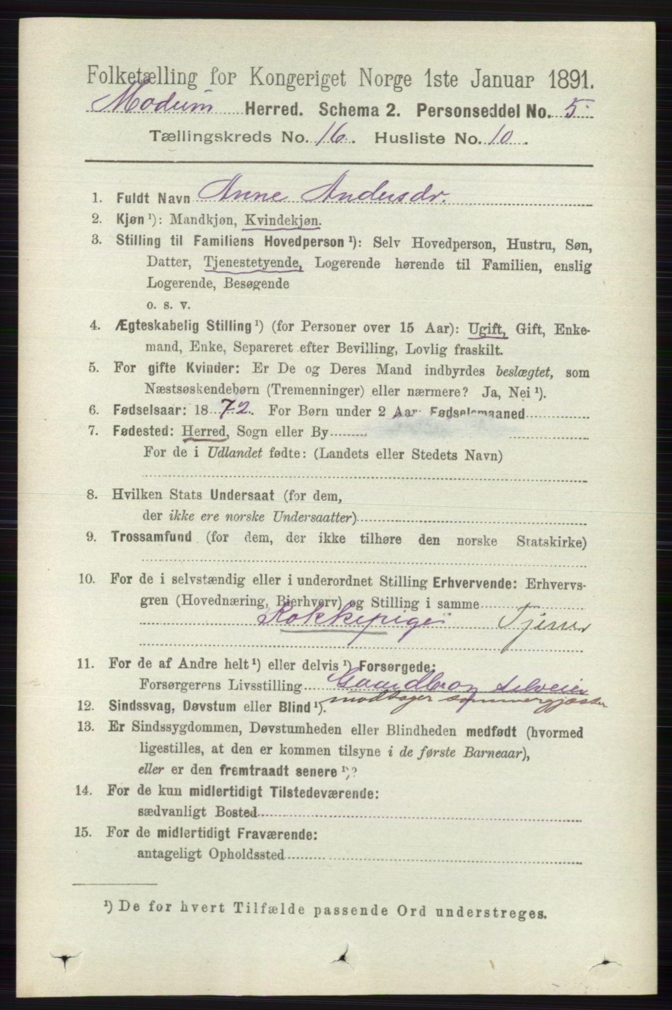 RA, 1891 census for 0623 Modum, 1891, p. 6229