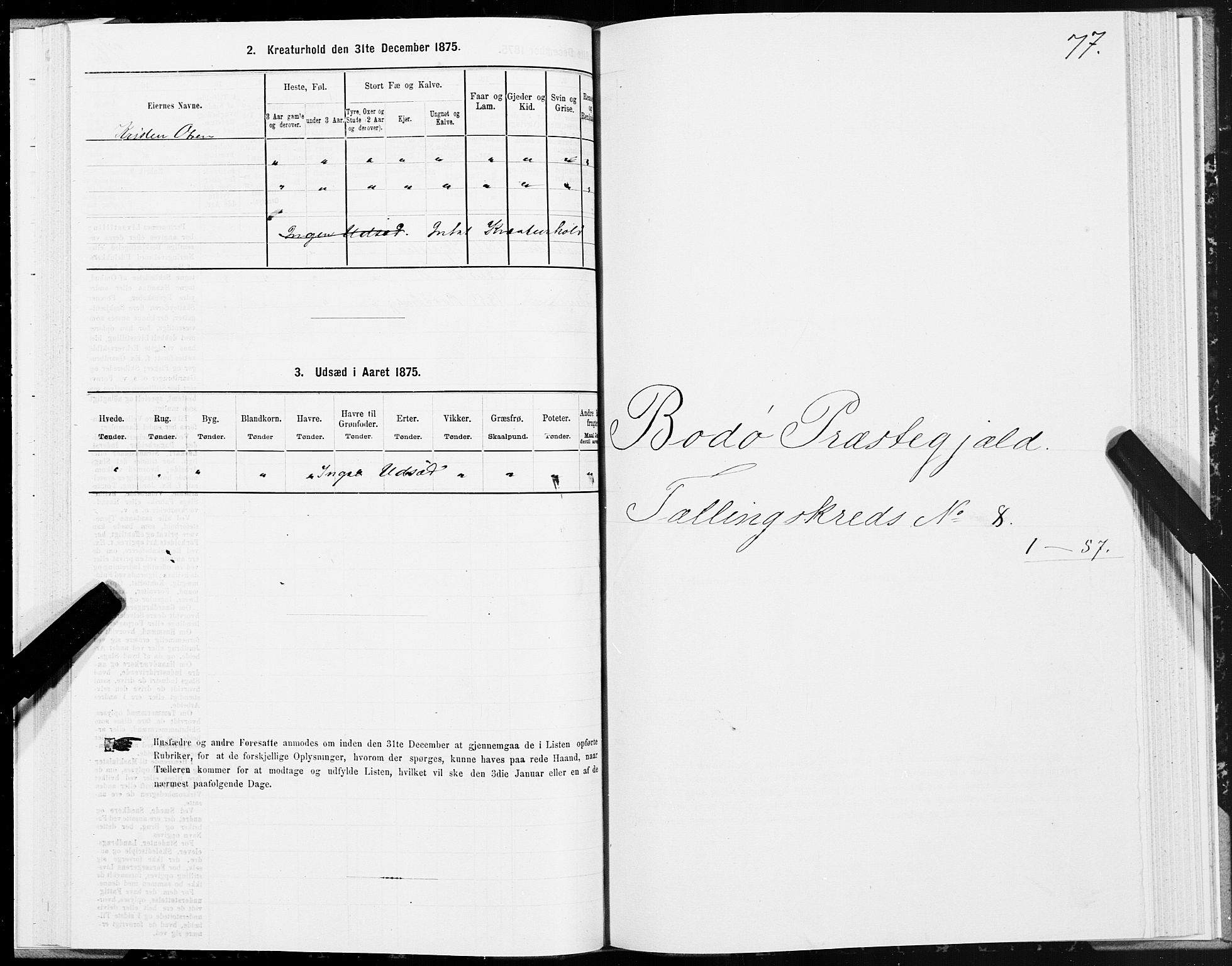 SAT, 1875 census for 1843L Bodø/Bodø, 1875, p. 4077