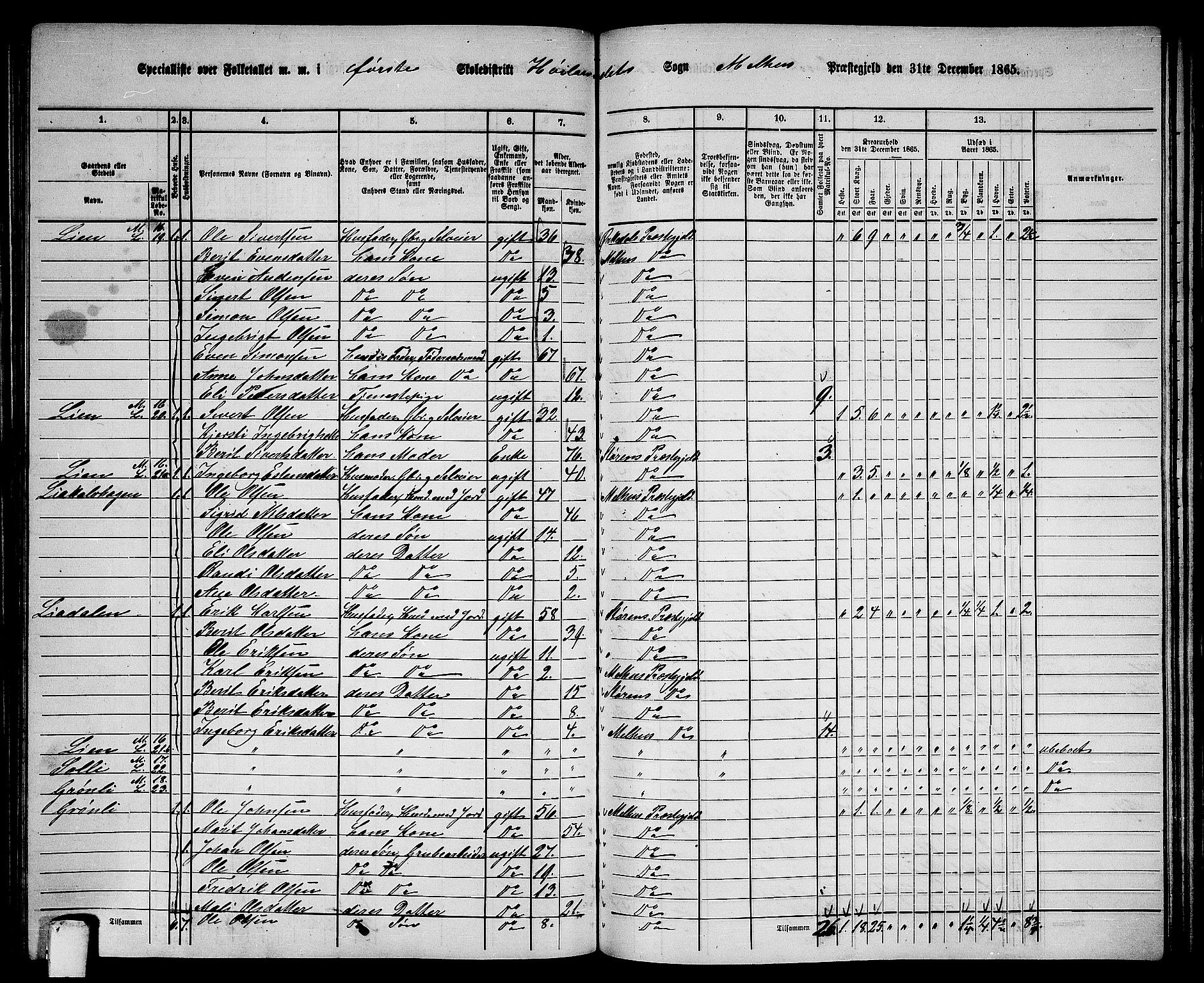 RA, 1865 census for Melhus, 1865, p. 171