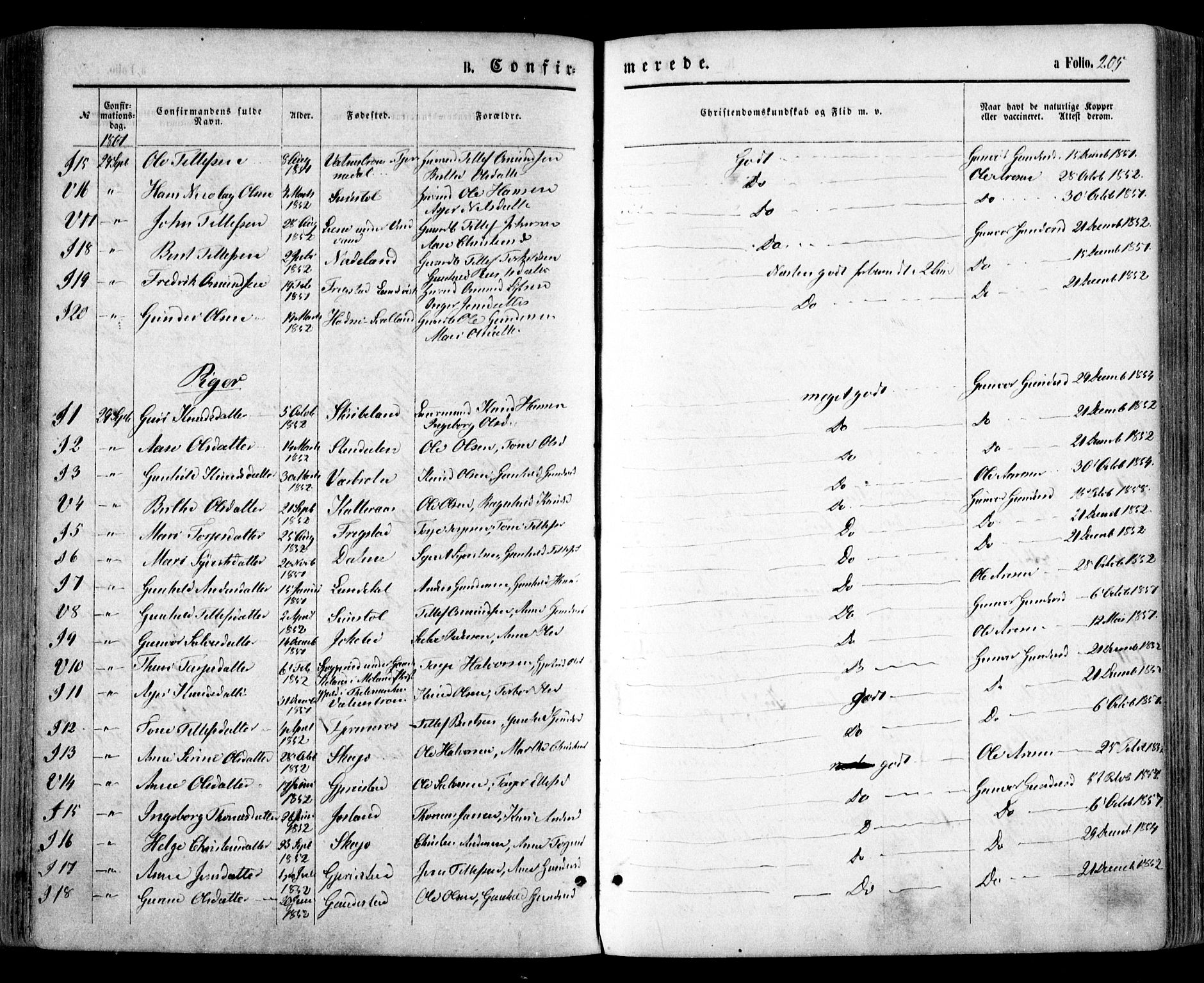 Evje sokneprestkontor, SAK/1111-0008/F/Fa/Faa/L0006: Parish register (official) no. A 6, 1866-1884, p. 205