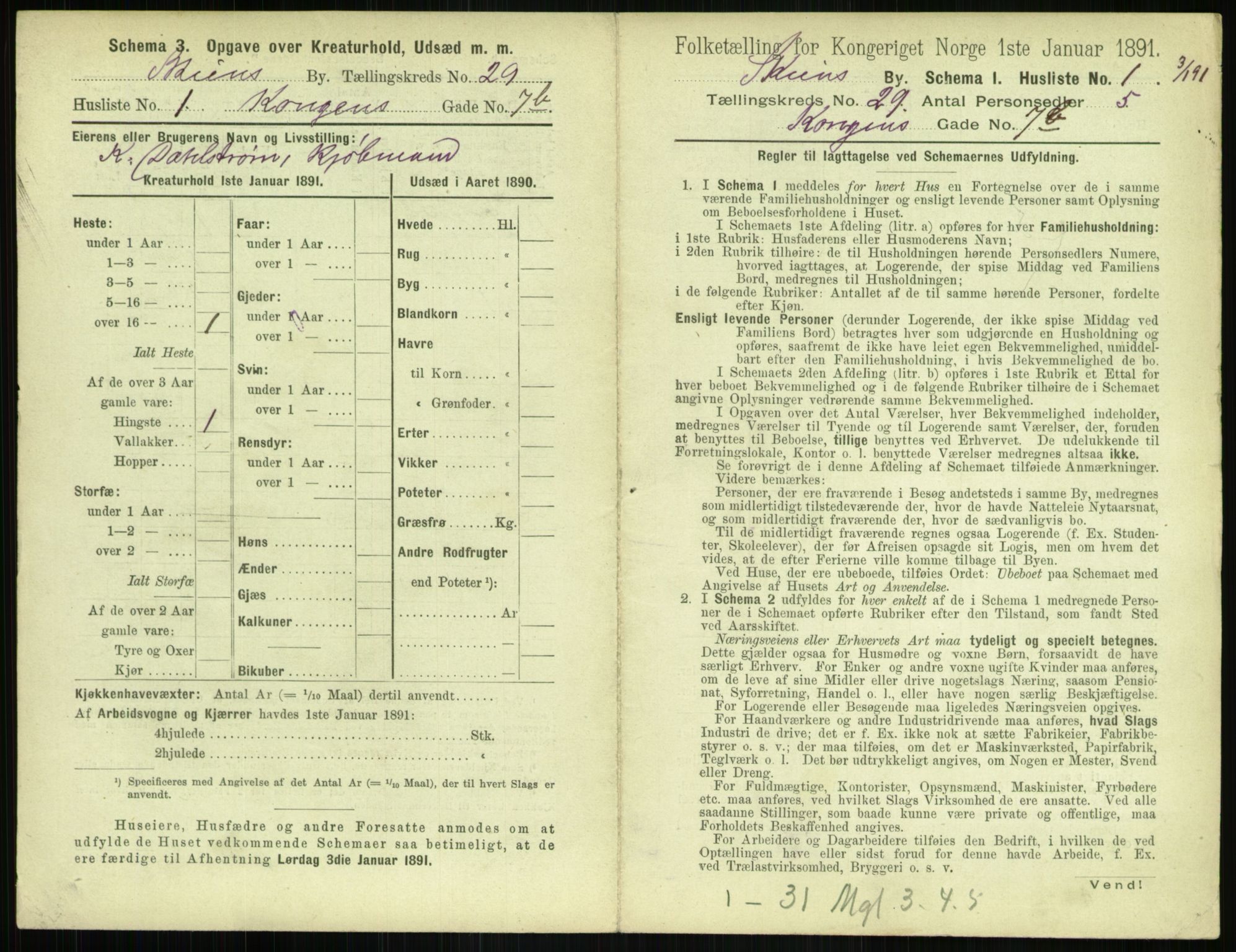 RA, 1891 census for 0806 Skien, 1891, p. 1070