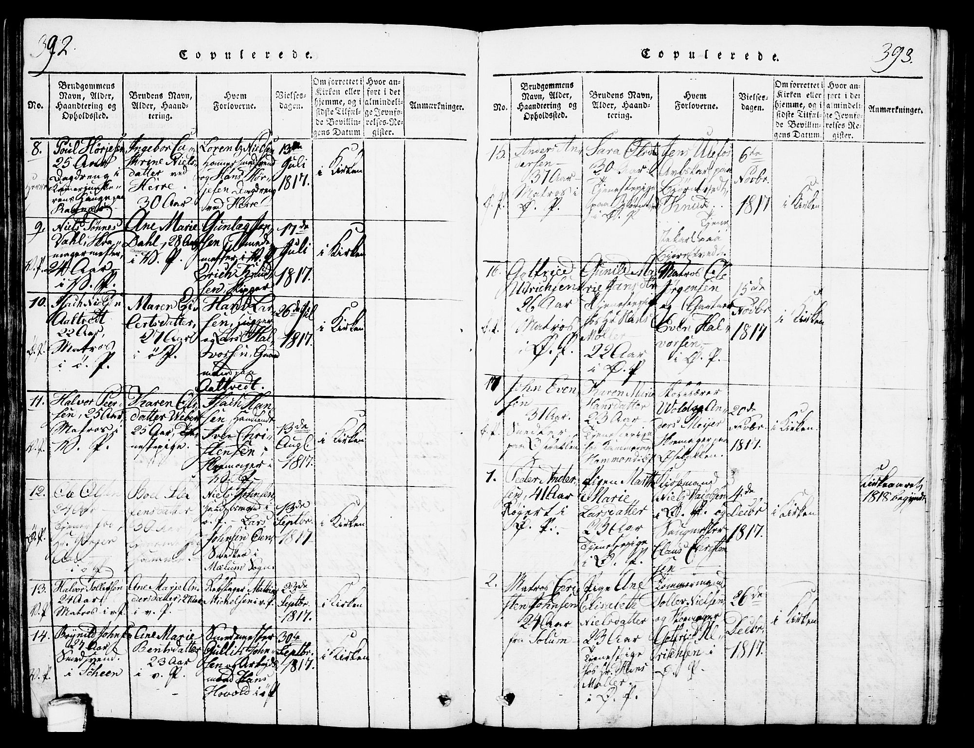Porsgrunn kirkebøker , SAKO/A-104/G/Gb/L0001: Parish register (copy) no. II 1, 1817-1828, p. 392-393