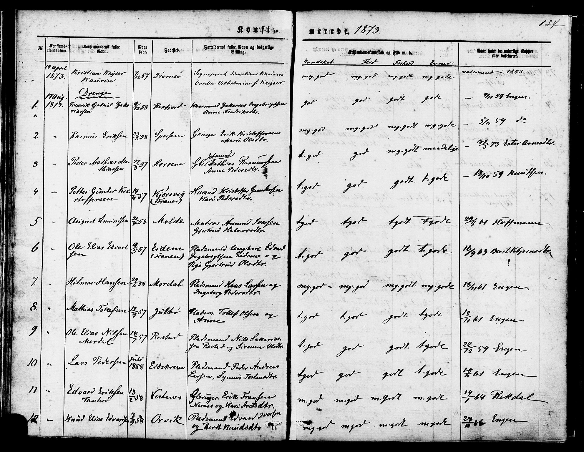 Ministerialprotokoller, klokkerbøker og fødselsregistre - Møre og Romsdal, SAT/A-1454/560/L0720: Parish register (official) no. 560A04, 1873-1878, p. 134