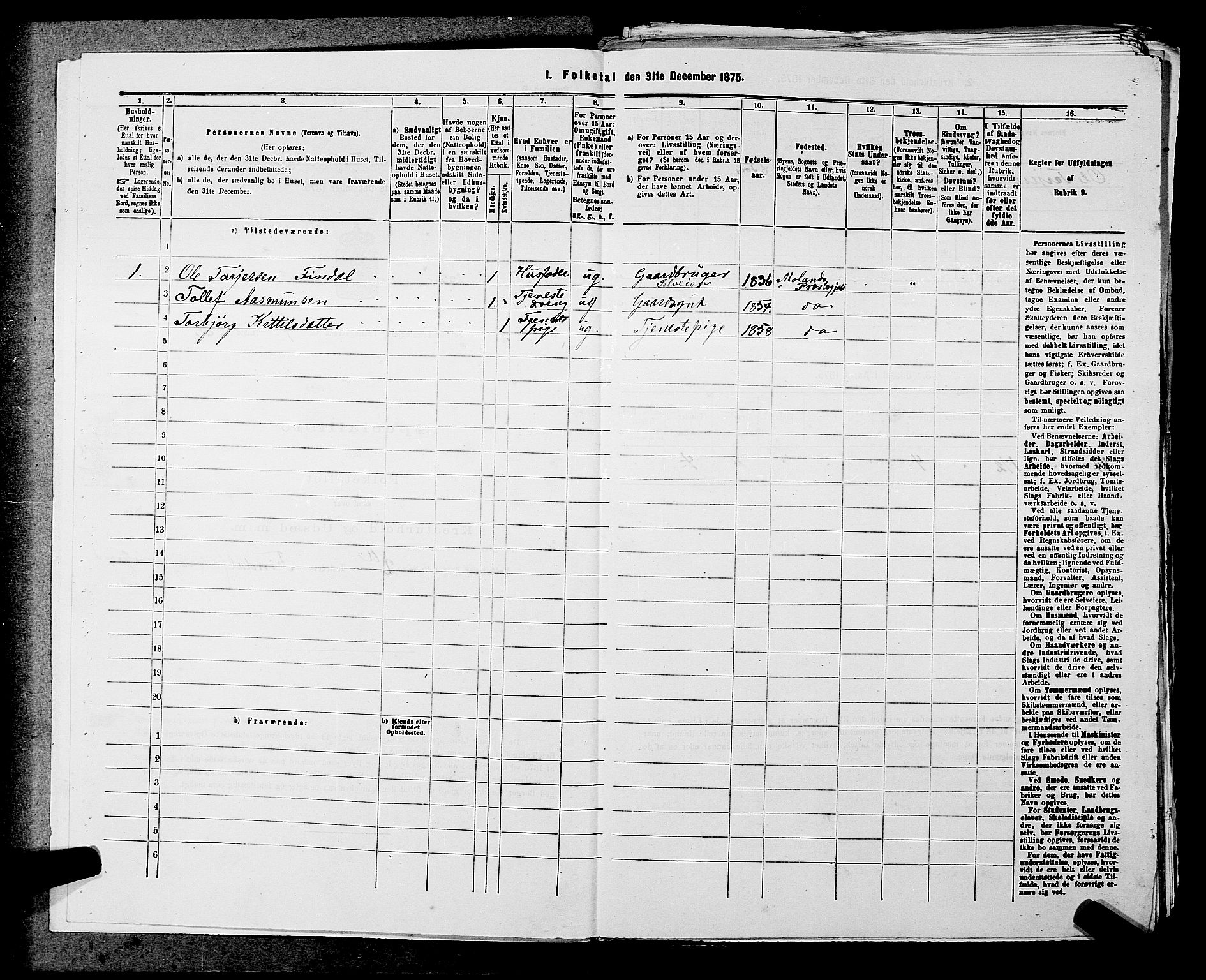 SAKO, 1875 census for 0818P Solum, 1875, p. 1217