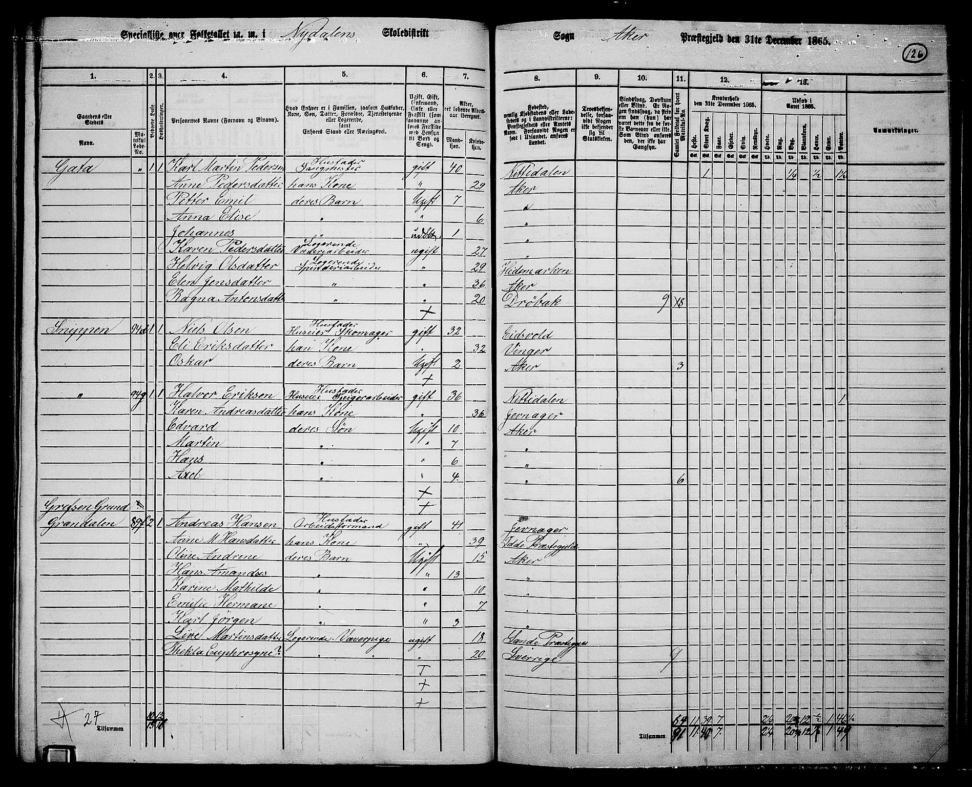 RA, 1865 census for Vestre Aker, 1865, p. 114