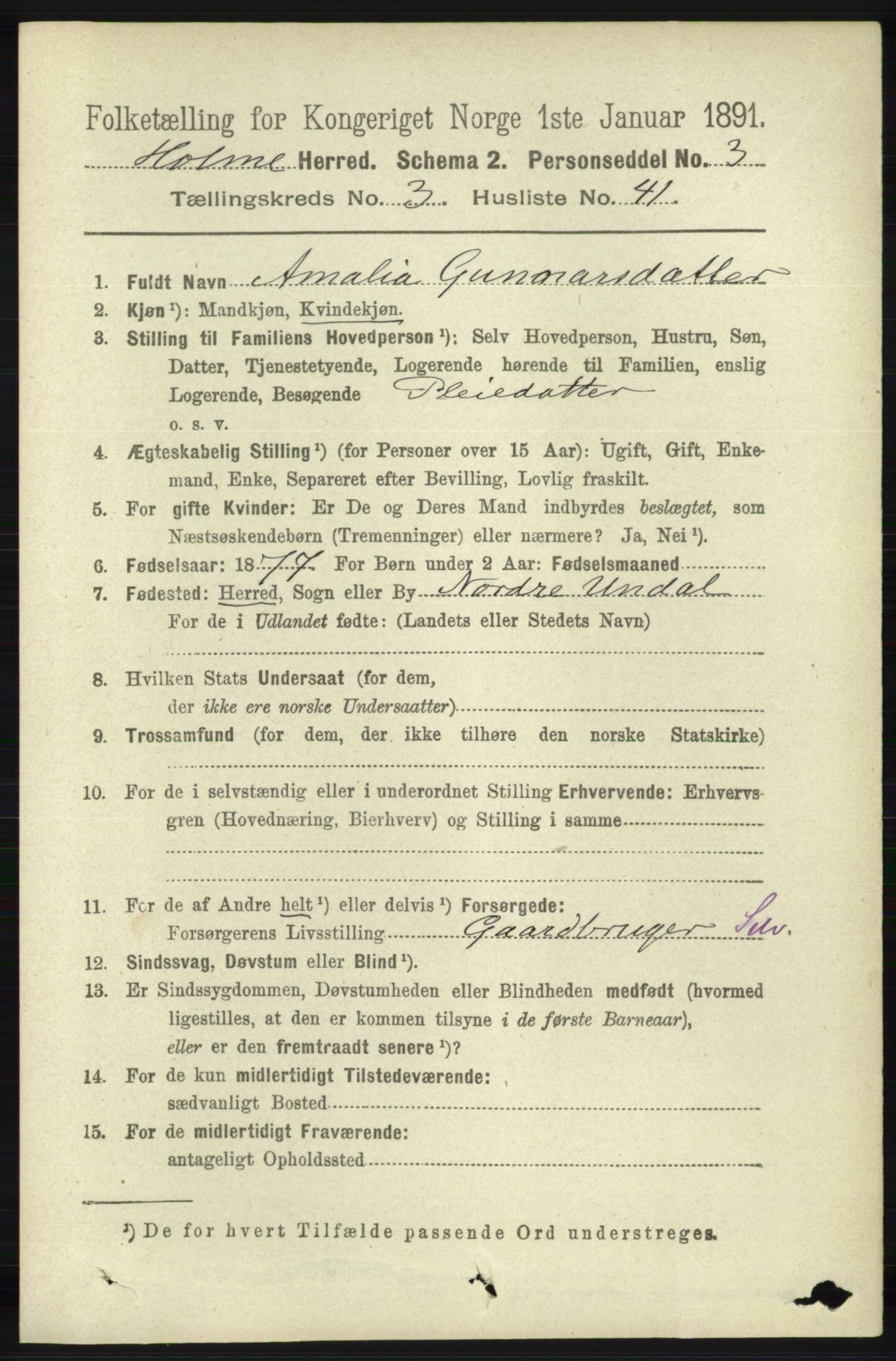 RA, 1891 census for 1020 Holum, 1891, p. 998