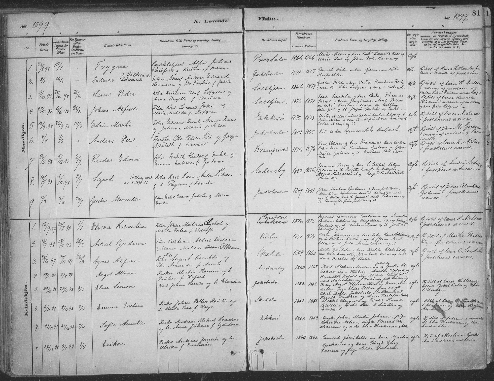 Vadsø sokneprestkontor, SATØ/S-1325/H/Ha/L0009kirke: Parish register (official) no. 9, 1881-1917, p. 81