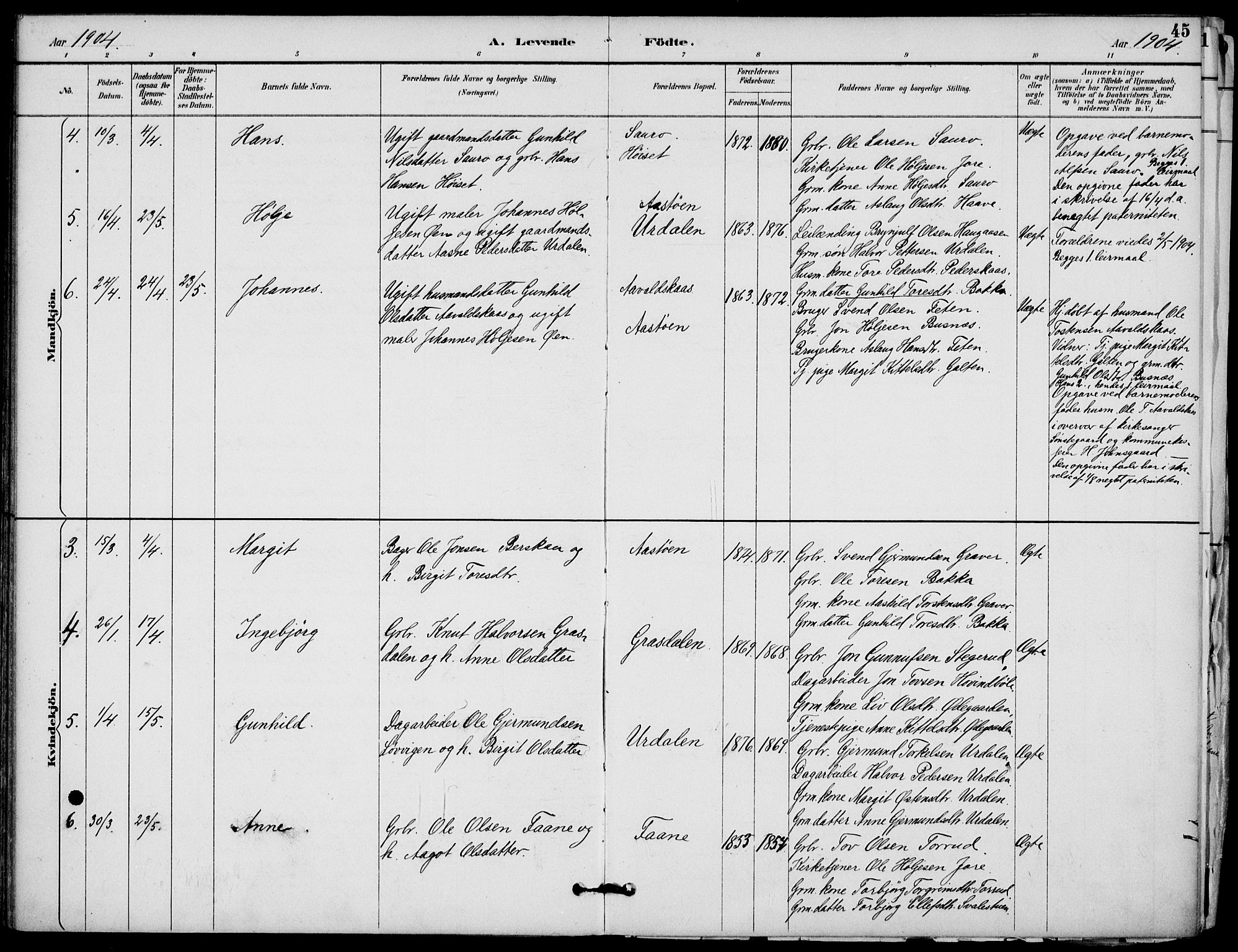 Gransherad kirkebøker, AV/SAKO-A-267/F/Fb/L0005: Parish register (official) no. II 5, 1887-1916, p. 45