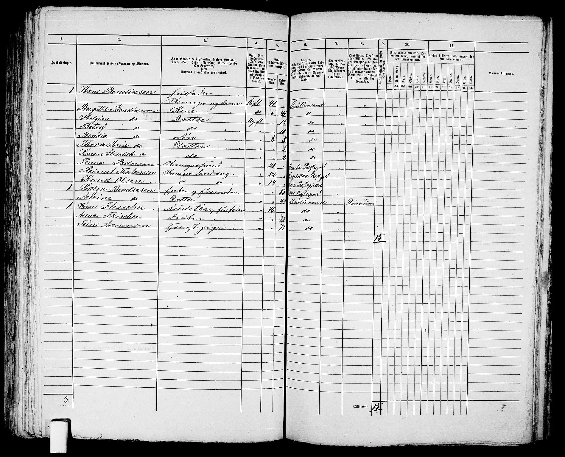 RA, 1865 census for Kristiansand, 1865, p. 253