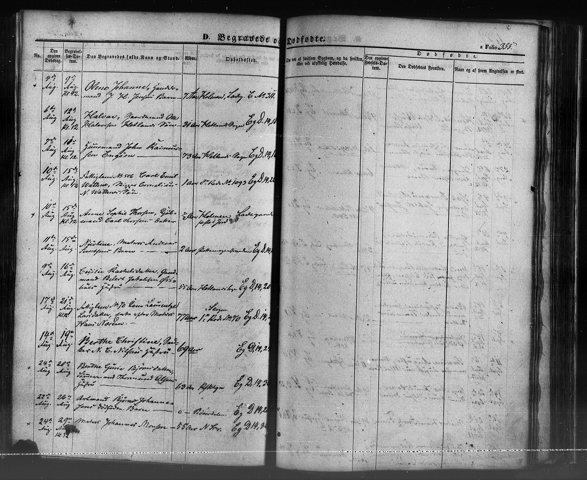 Domkirken sokneprestkontor, SAST/A-101812/001/30/30BB/L0009: Parish register (copy) no. B 9, 1850-1858, p. 355