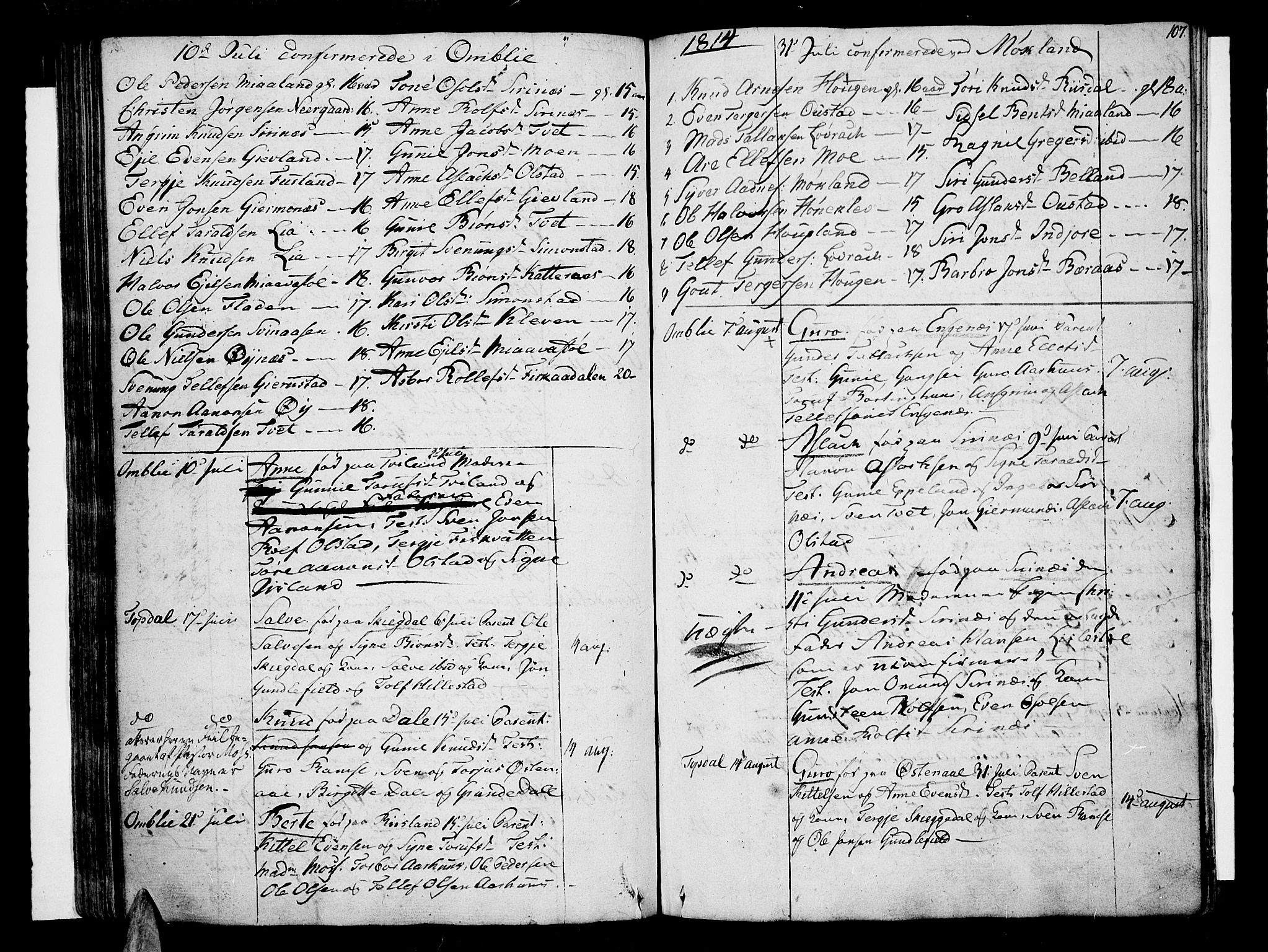 Åmli sokneprestkontor, SAK/1111-0050/F/Fa/Fac/L0005: Parish register (official) no. A 5, 1796-1816, p. 107