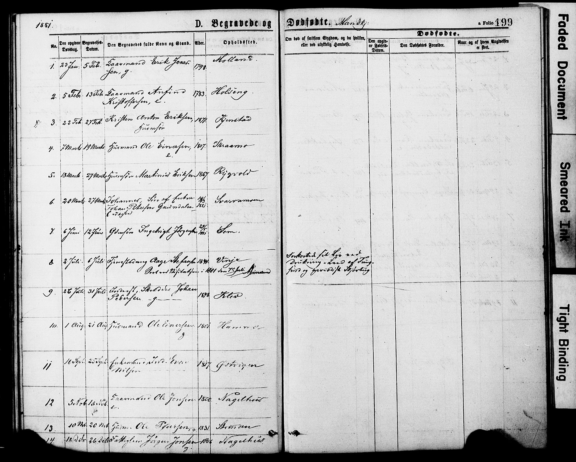 Ministerialprotokoller, klokkerbøker og fødselsregistre - Nord-Trøndelag, SAT/A-1458/749/L0473: Parish register (official) no. 749A07, 1873-1887, p. 199